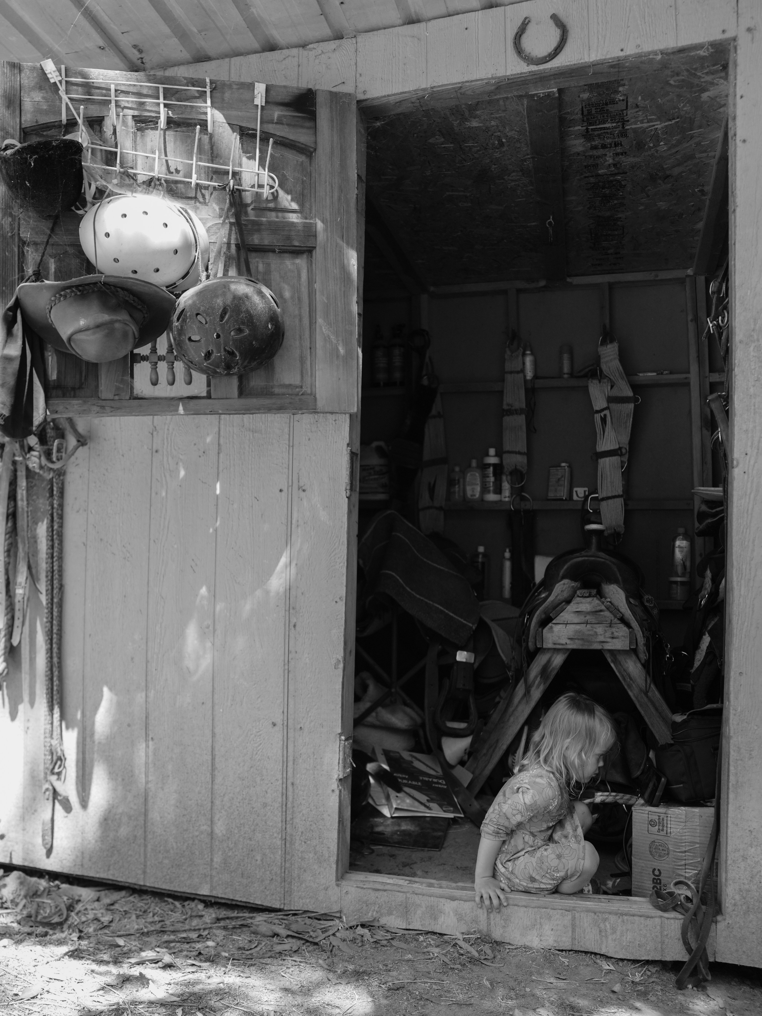 Children with horses. Фотограф и видеограф в США (и по всему миру) — Татьяна Иванова