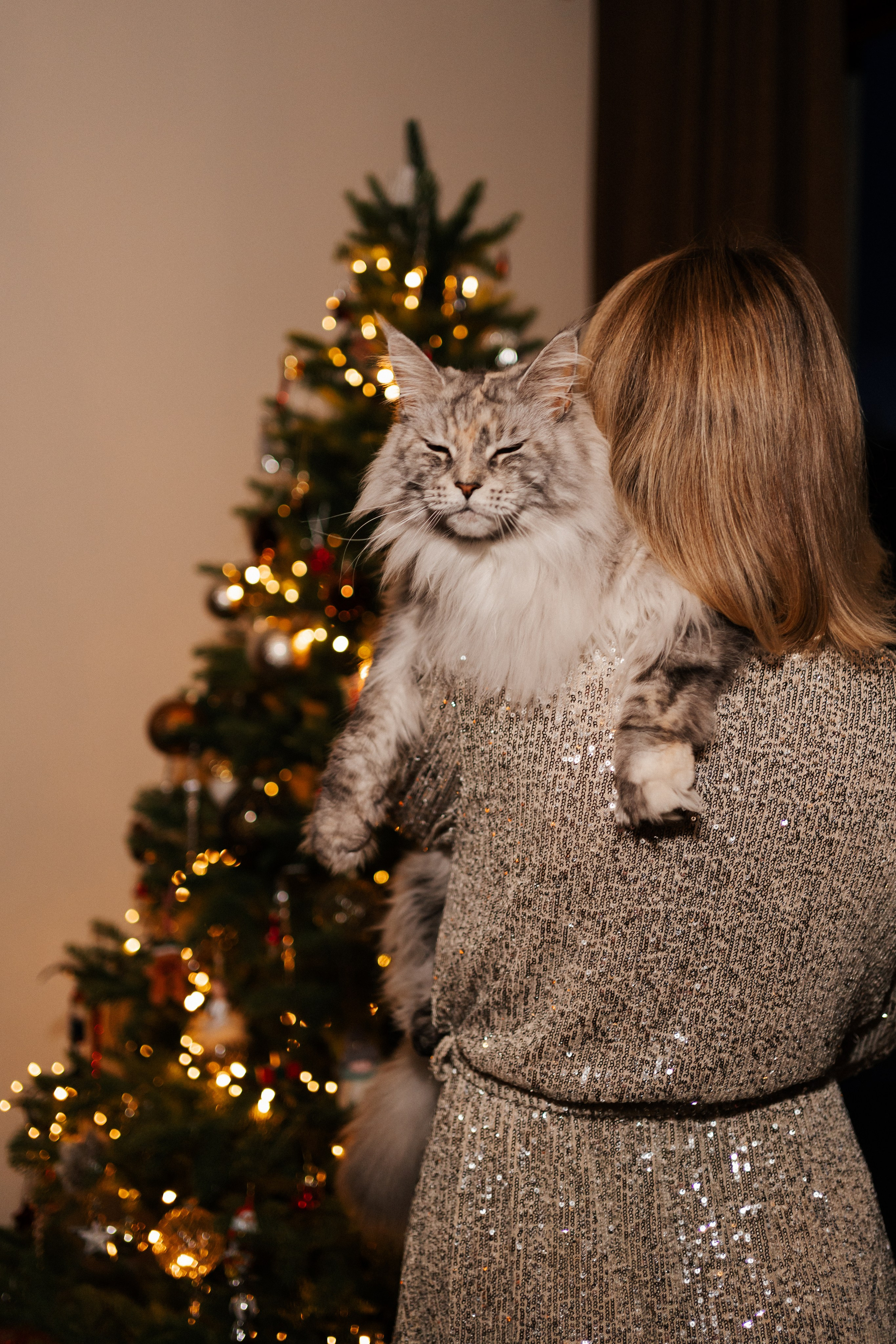 CHRISTMAS FAMILY. PHOTOGRAPHER|VIDEOGRAPHER MONTENEGRO