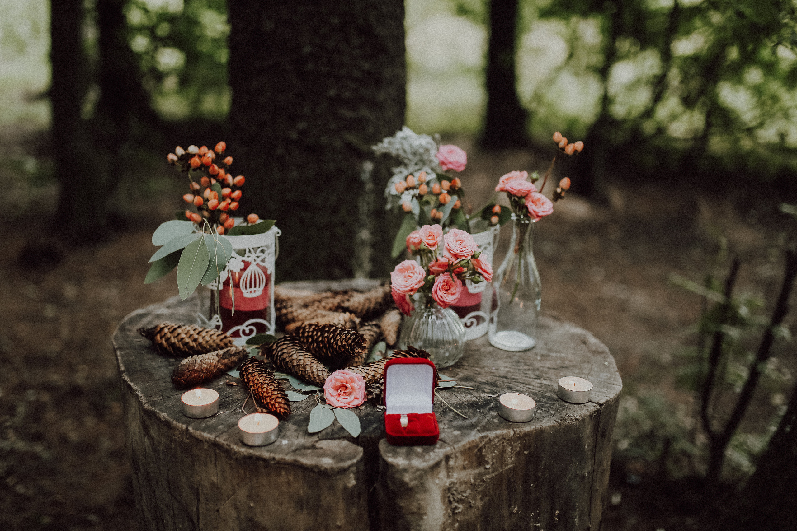 A+M. VeloKoza fotografia ślubna Łódź