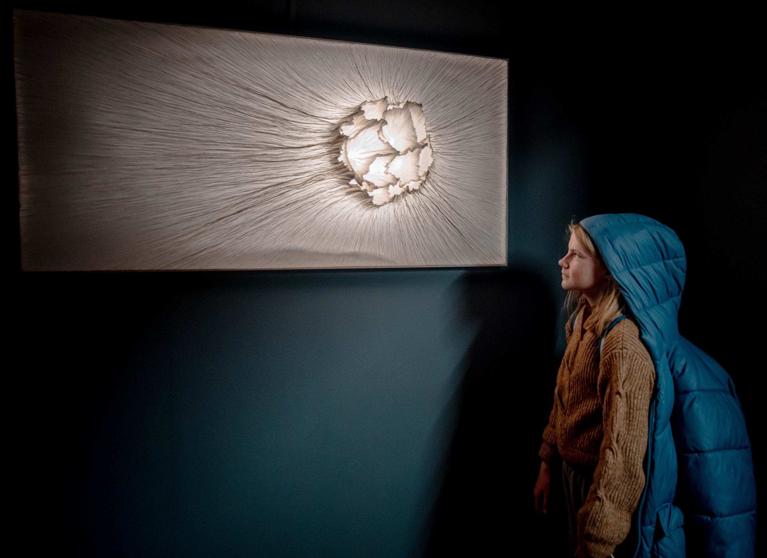 Museo de origami, Zaragoza. Alba del Norte Studio