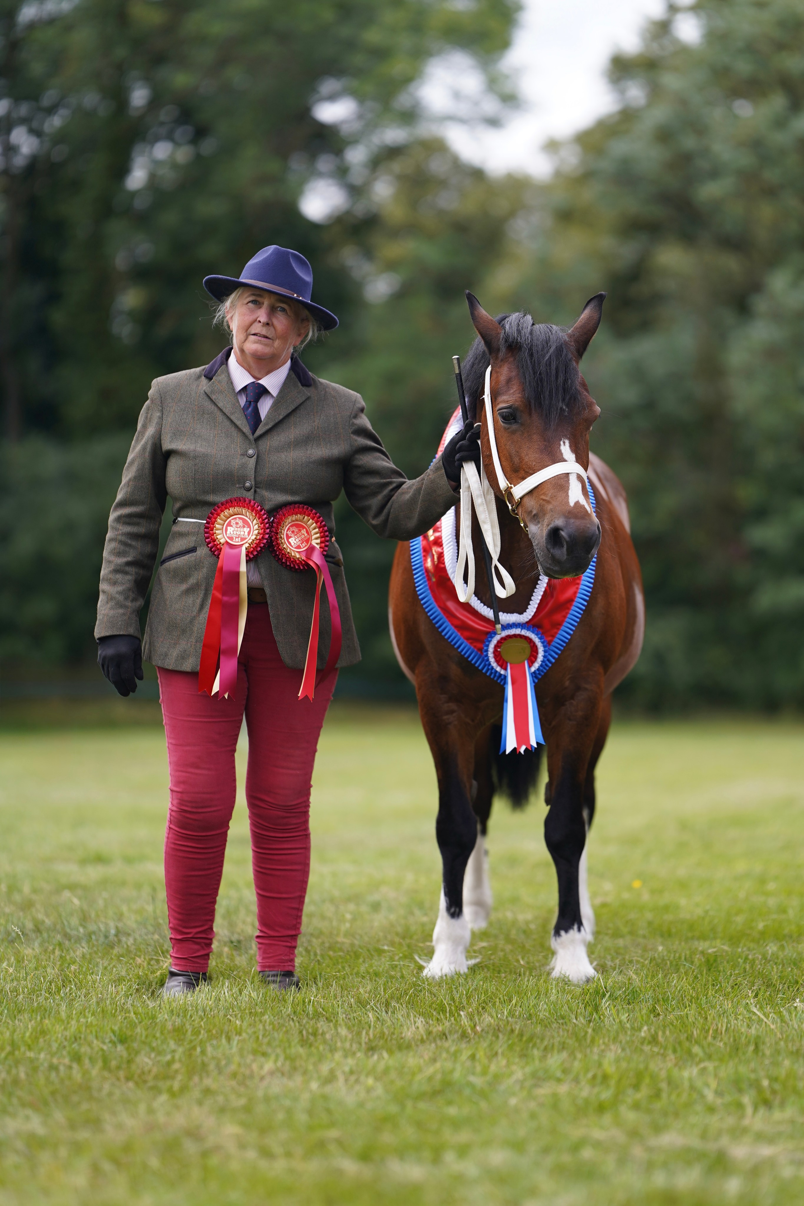 Showing. Leicestershire Equine Photography by El | Authentic Equine Portraits & Events