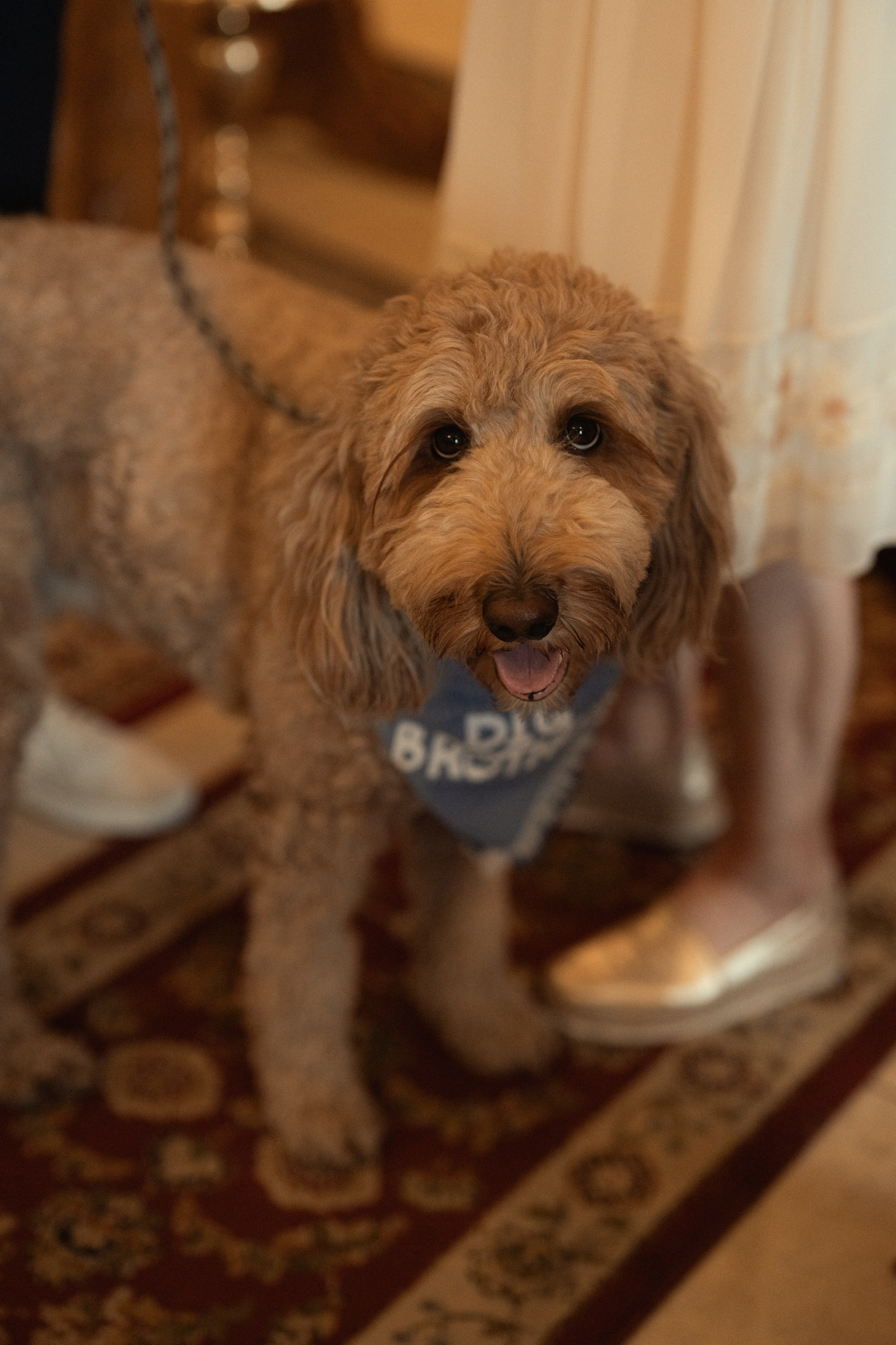 Liam Noah’s Baptism. Wedding & elopement photographer Viktoriya Kravtsov. Las Vegas