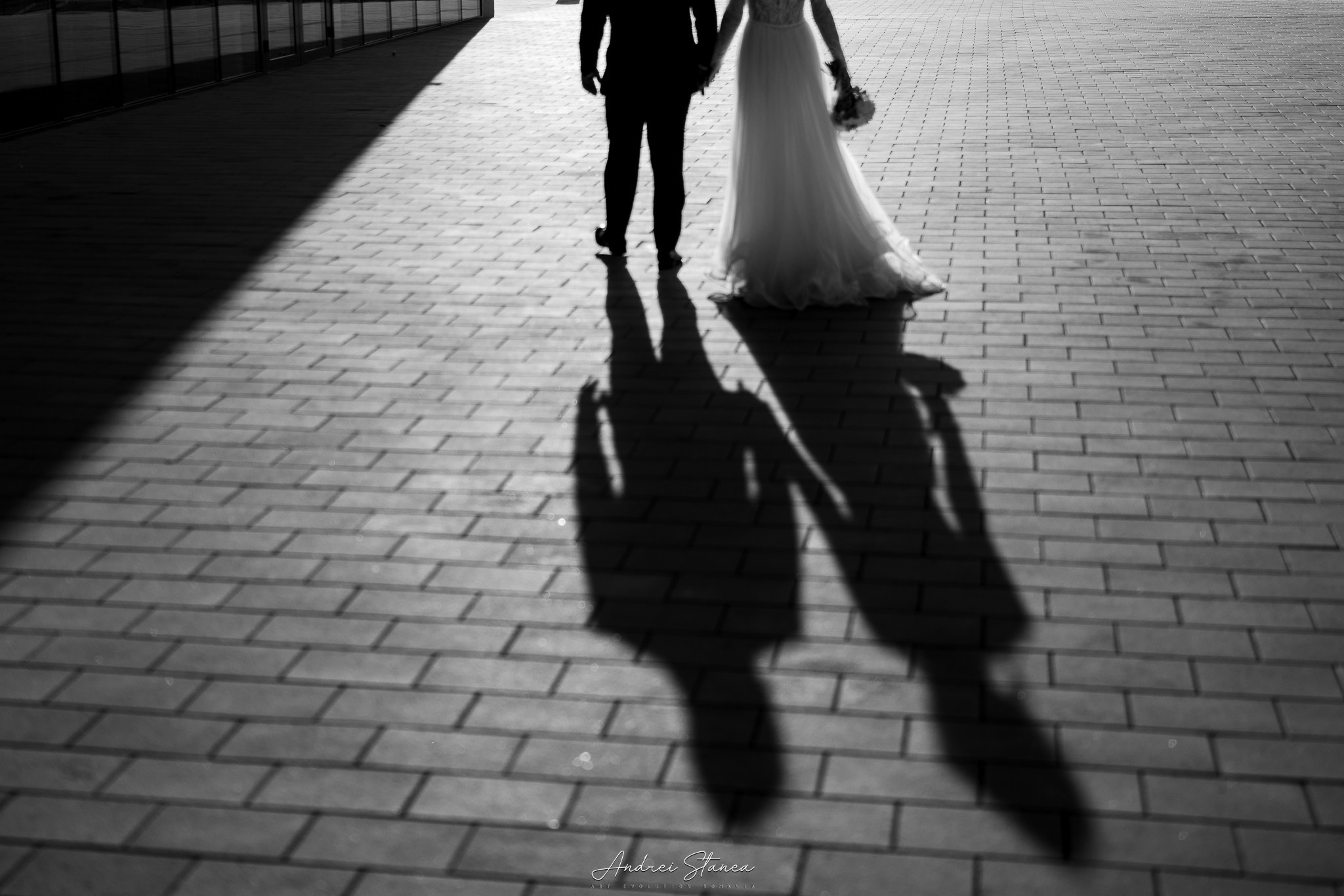 Portofolio. Andrei Stanea