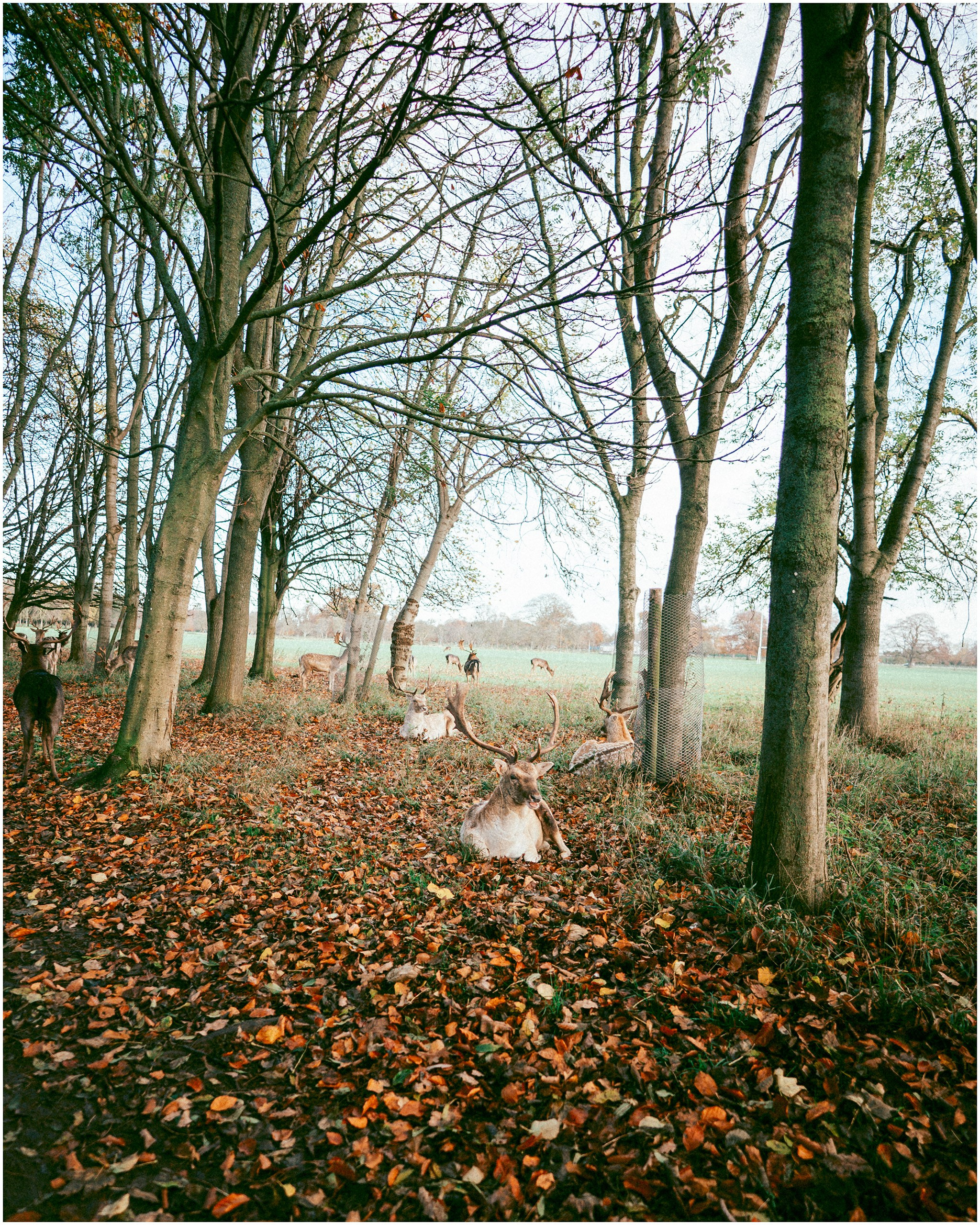 IRELAND. Inna Mendelson — Photographer