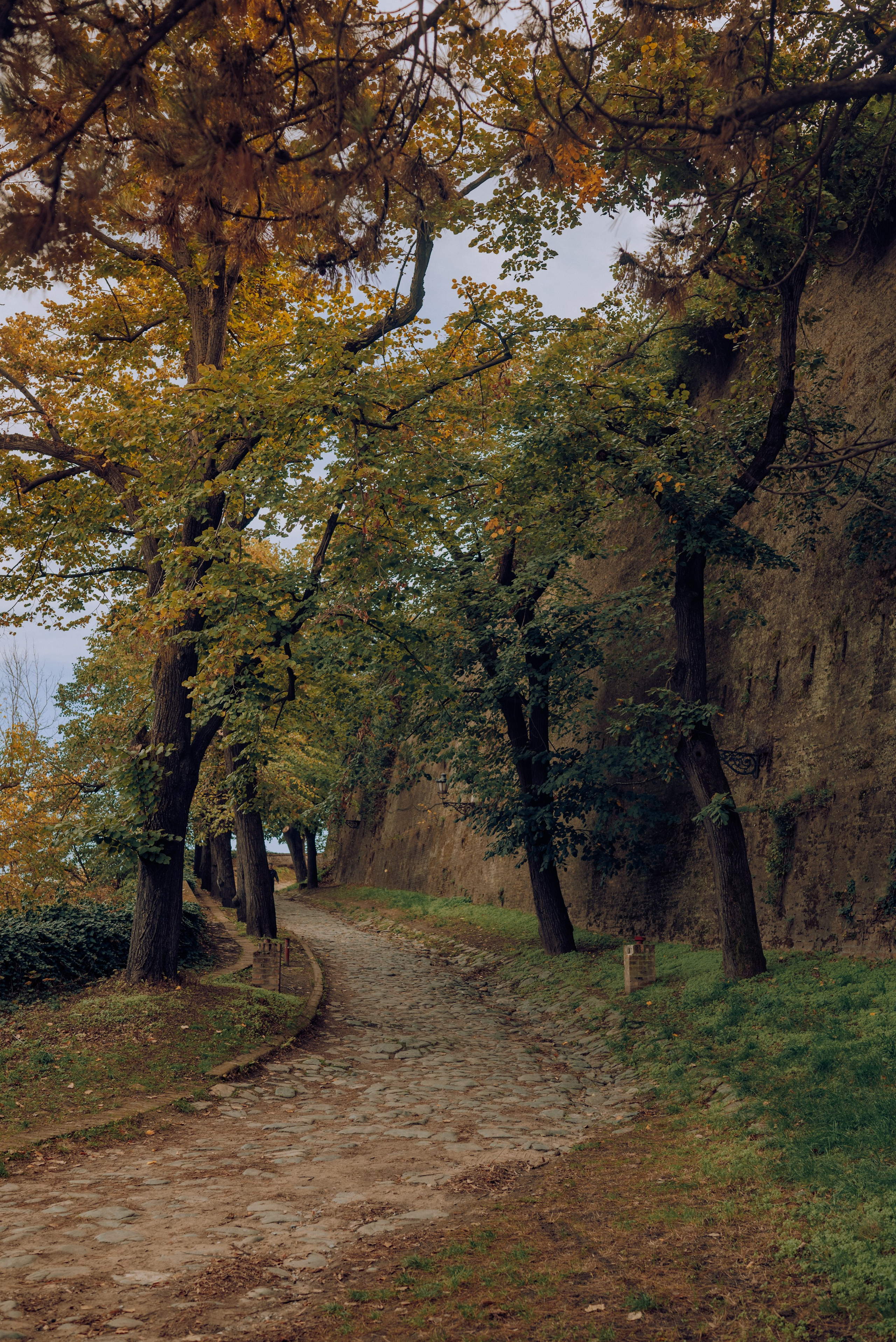 J.R.V. Семейный фотограф. Сербия. Нови-Сад. Белград