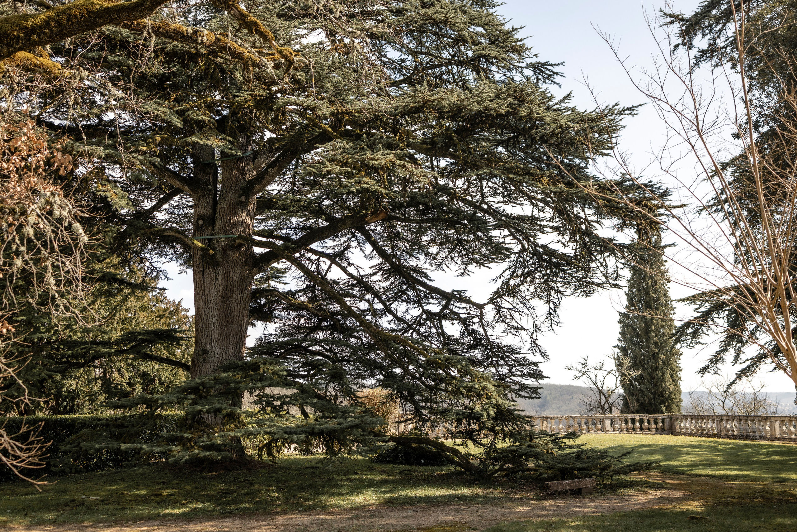 Château de Mercuès. Евгения Смирнова — Ваш фотограф в Тулузе и на юго-западе Франции