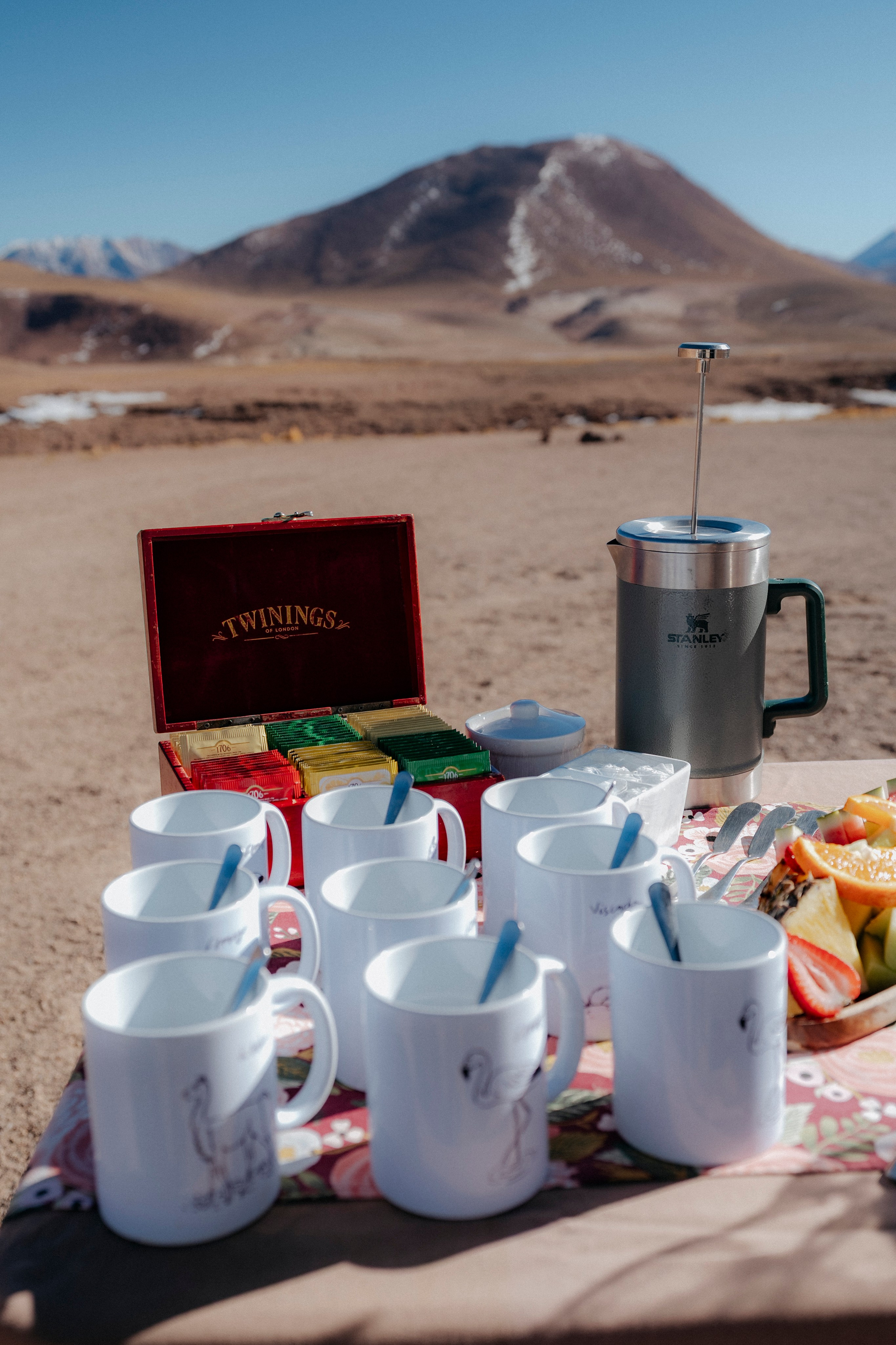 Geyser El Tatio (cobertura en tour privado). Principal