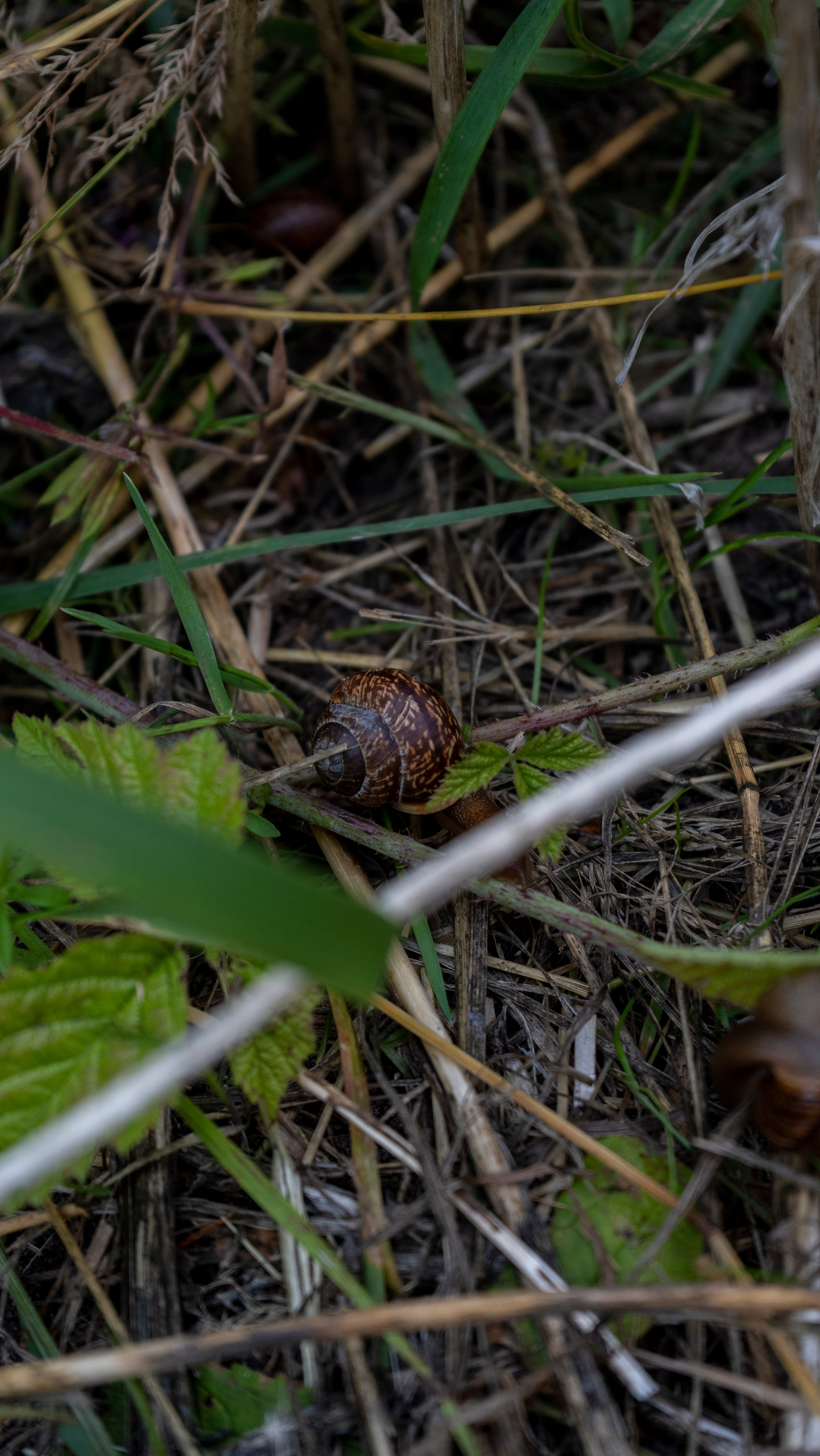 Whispers of Estonia. Photography | Videography | Marketing