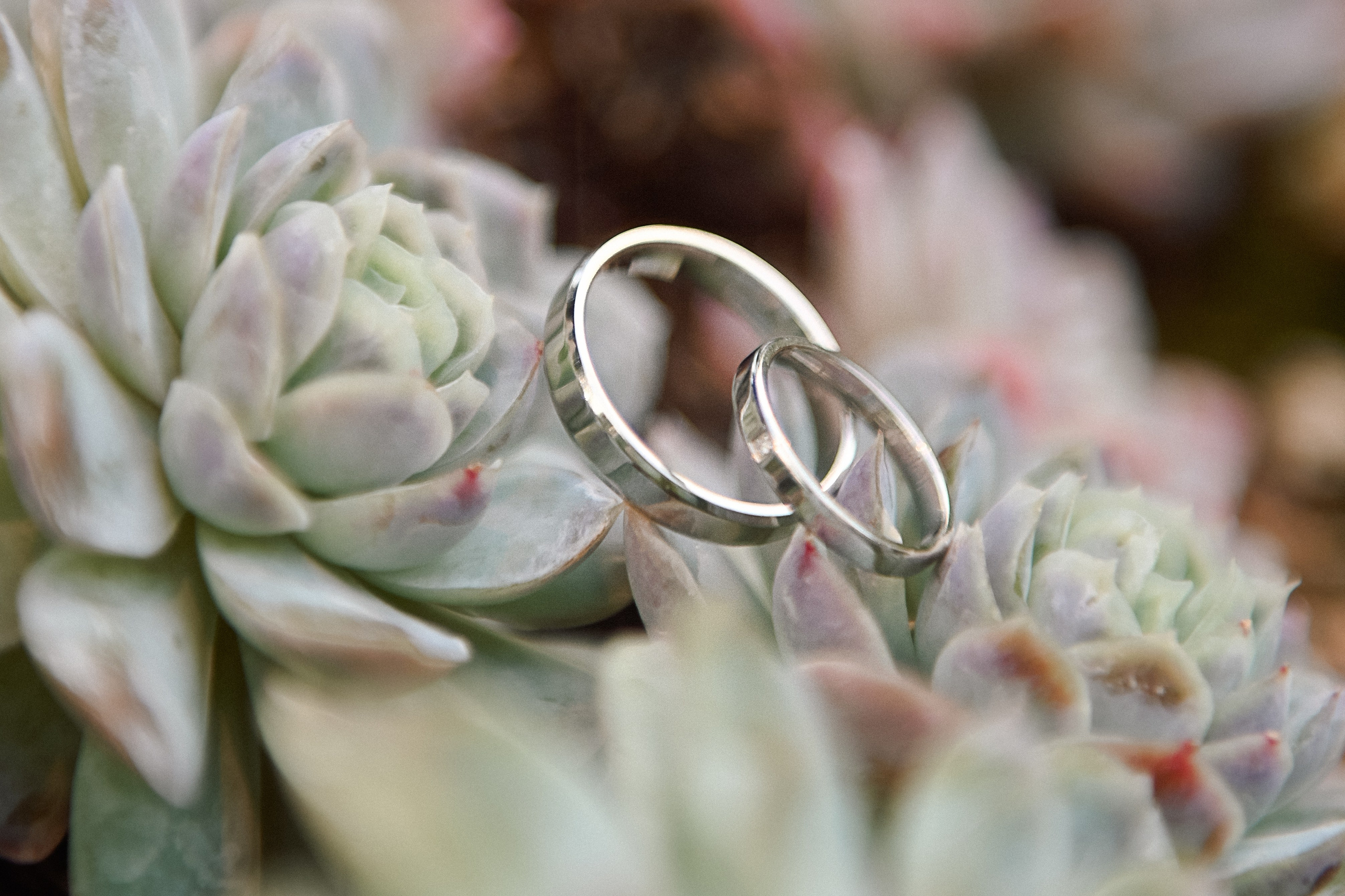 Мария и Юрий. Детский и семейный фотограф в финляндии дина пулкка. контент фотограф