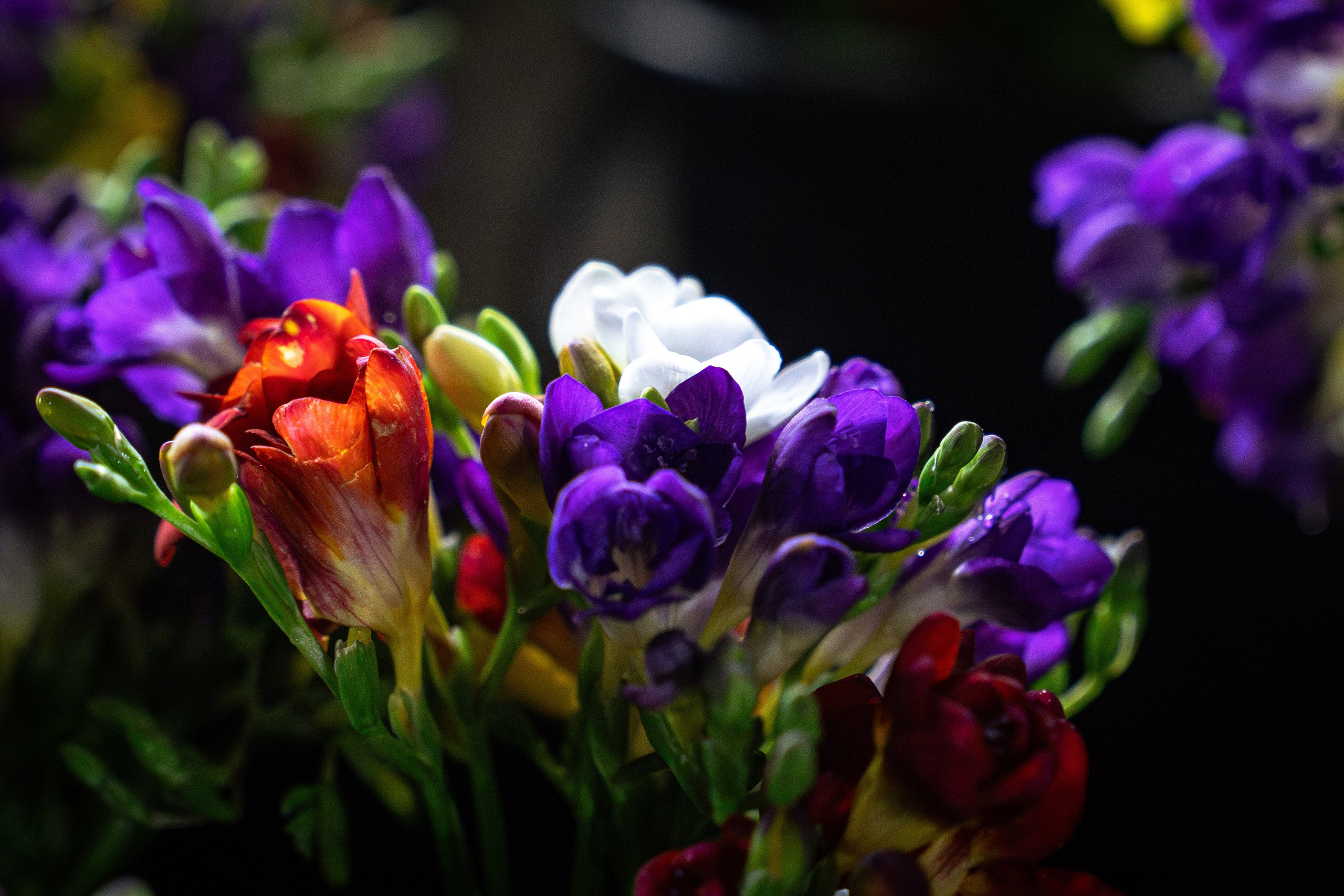 Как мужчины готовились к 8 марта. Георгий Намазов | Фотограф в Ташкенте