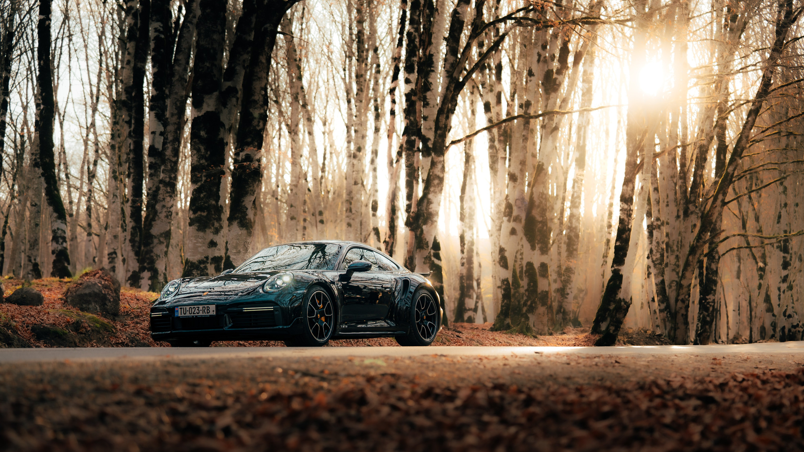 Porsche. Merabi Eminashvili