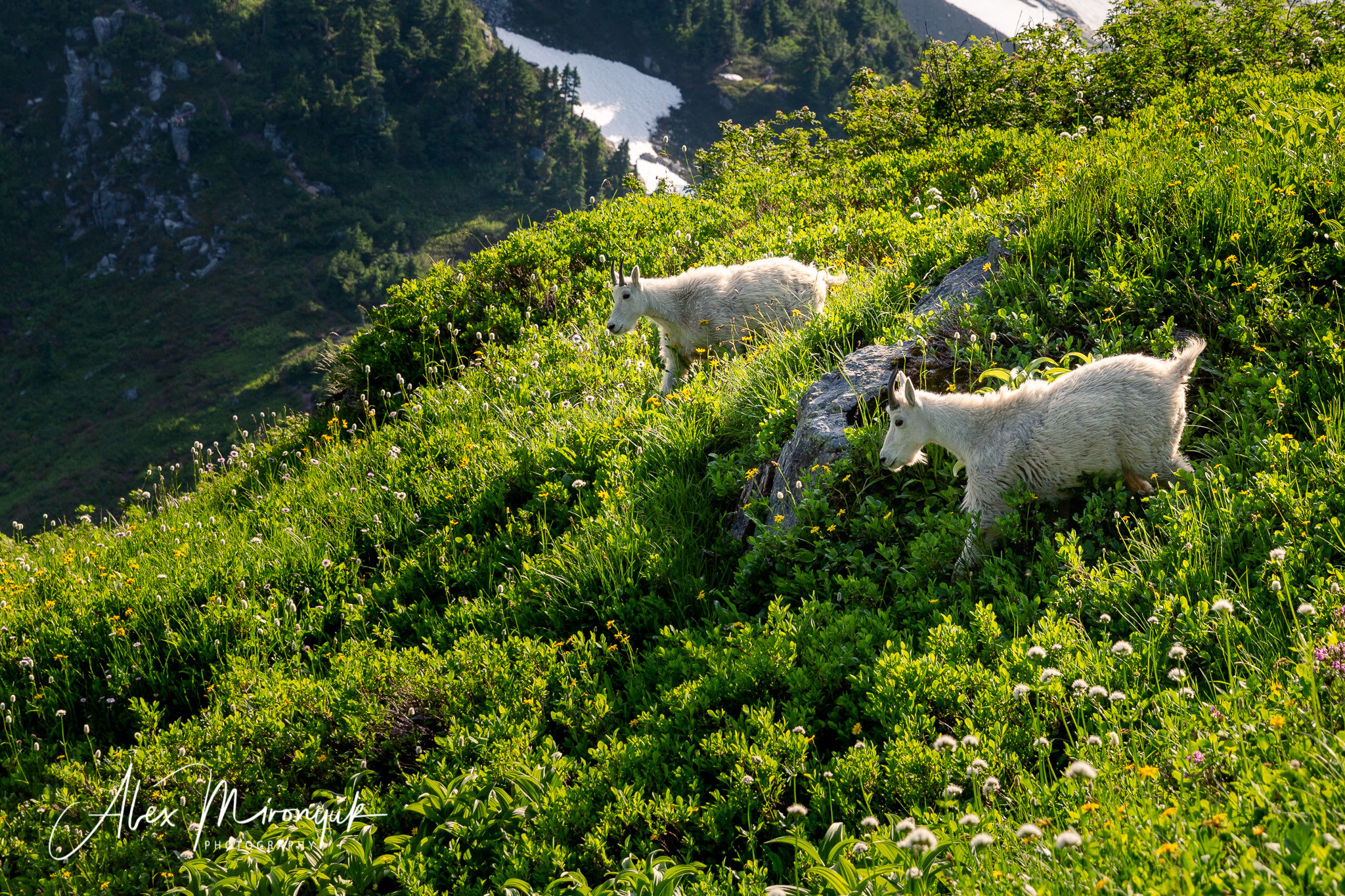 North Cascades Hiking Adventure. Alex Mironyuk Photography