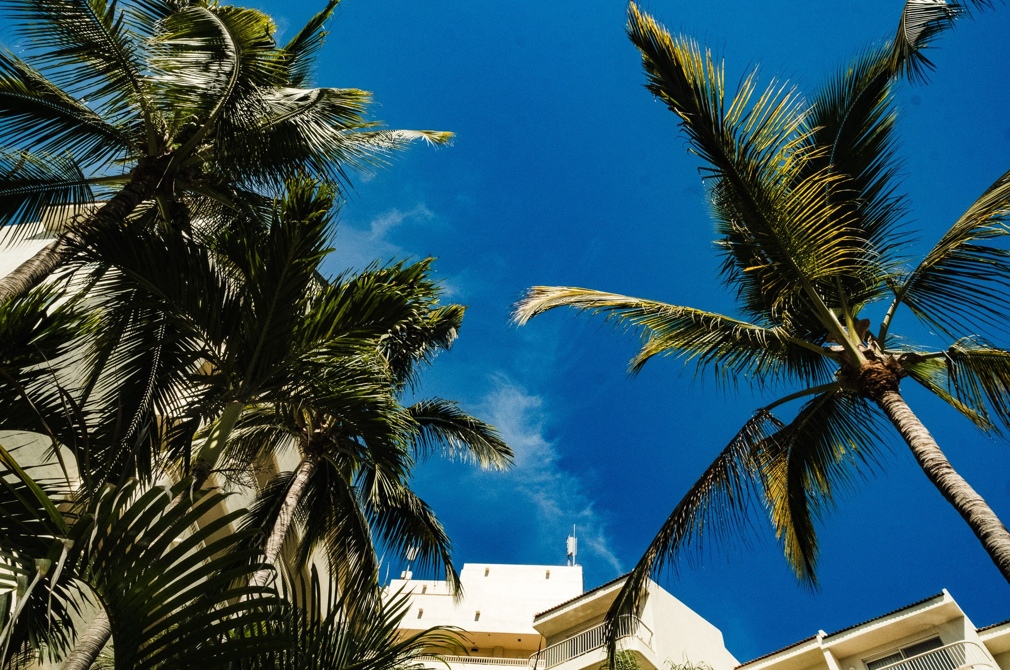 Lupita y Abel / Puerto Vallarta. Wedding and family photographer in Mexico City