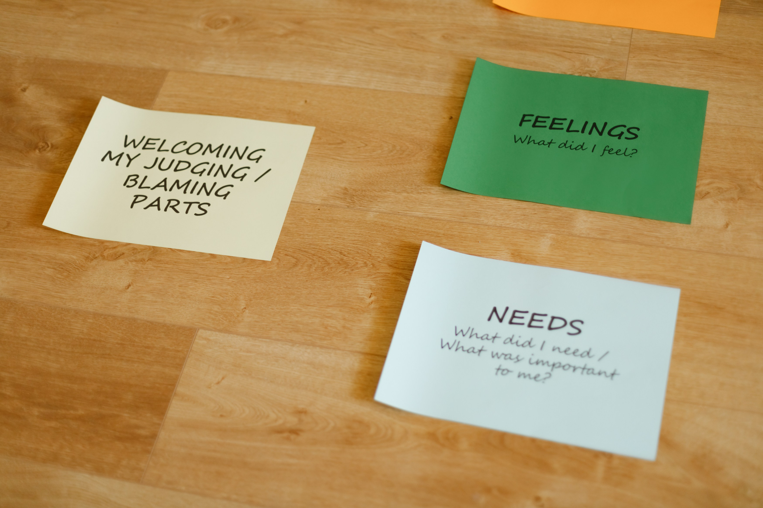 Małgorzata | business portrait. Kaja | fotograf we Wrocławiu | ludzie i psy