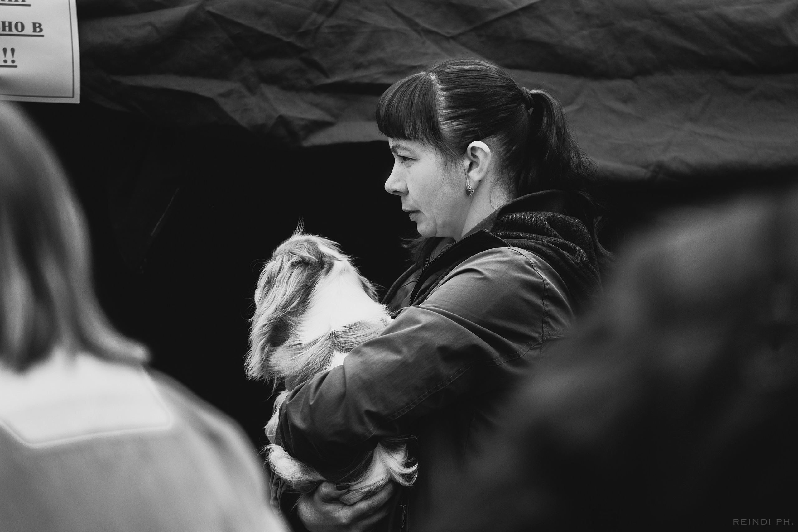 «Argus» dog show in Brest. Kaja | fotograf we Wrocławiu | ludzie i psy