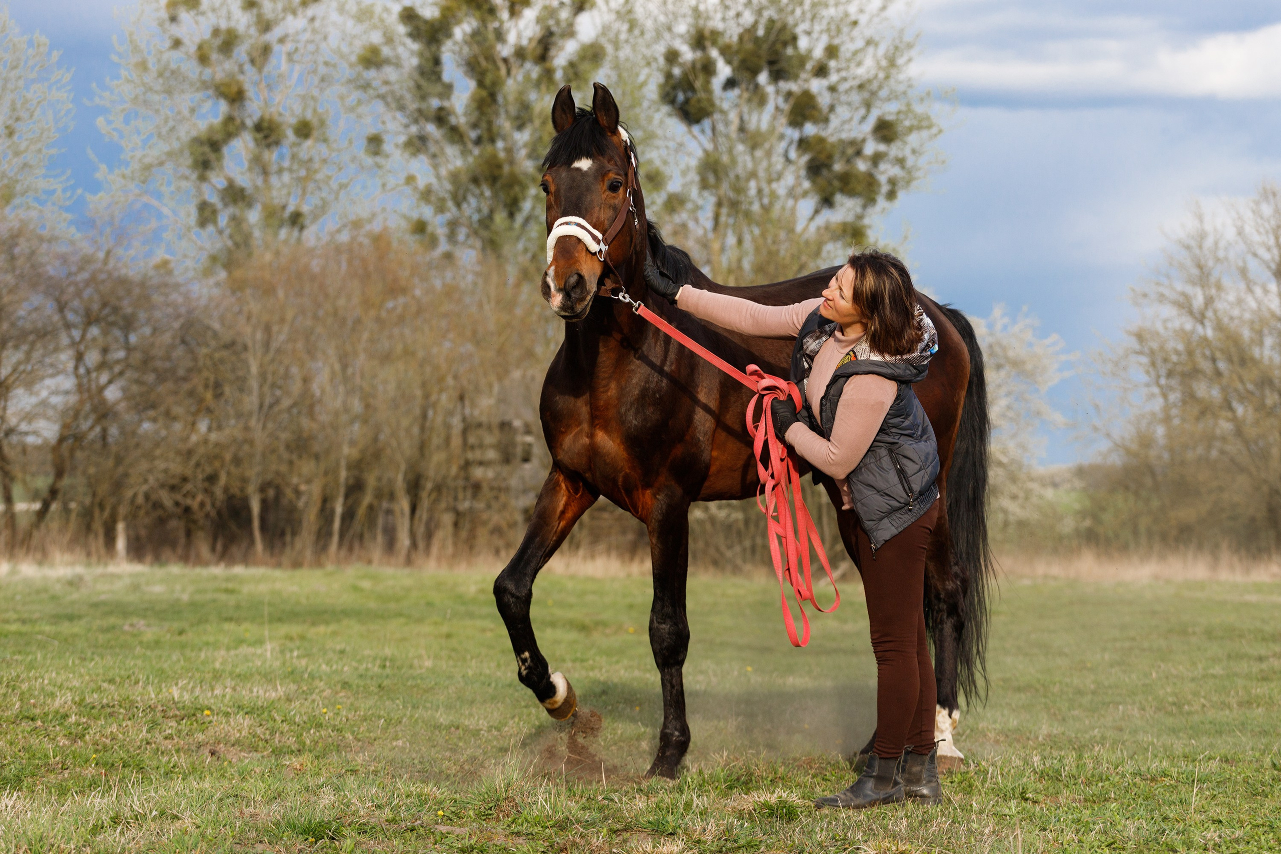 Vykup. Kaja | fotograf psów we Wrocławiu