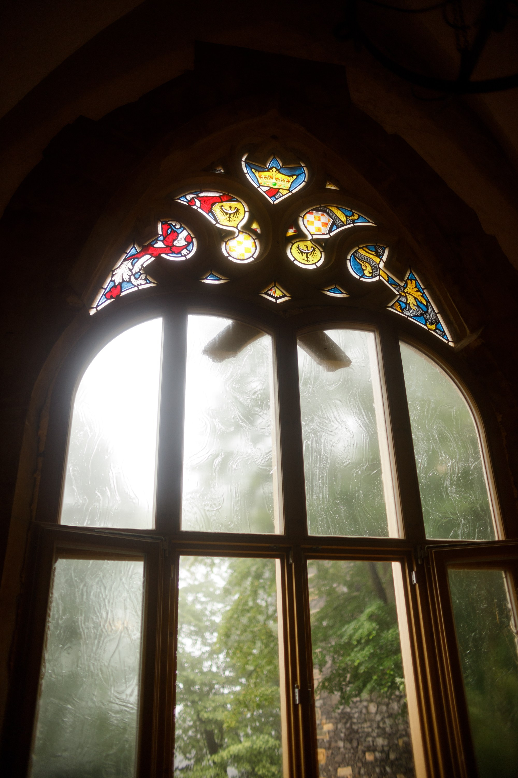 Zamek Grodziec. Kaja | fotograf psów we Wrocławiu