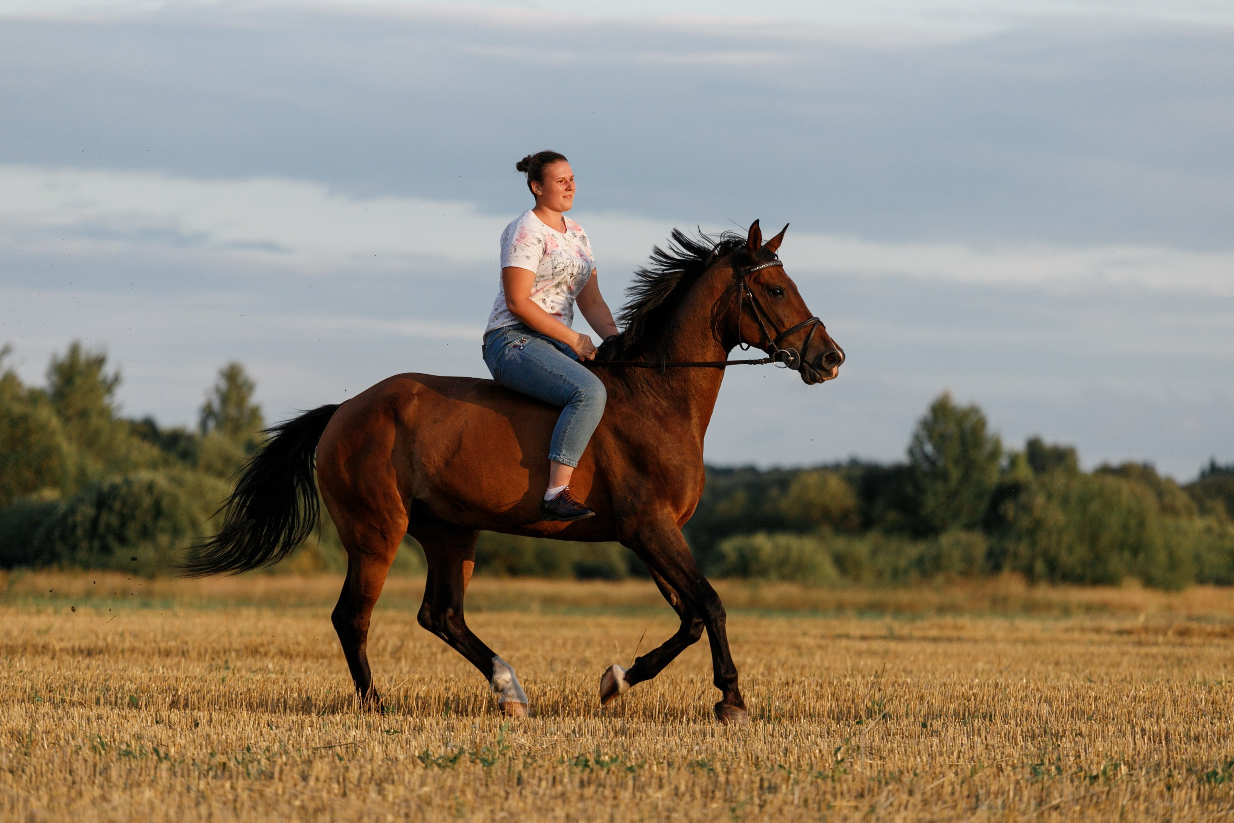 One sunset. Kaja | fotograf psów we Wrocławiu