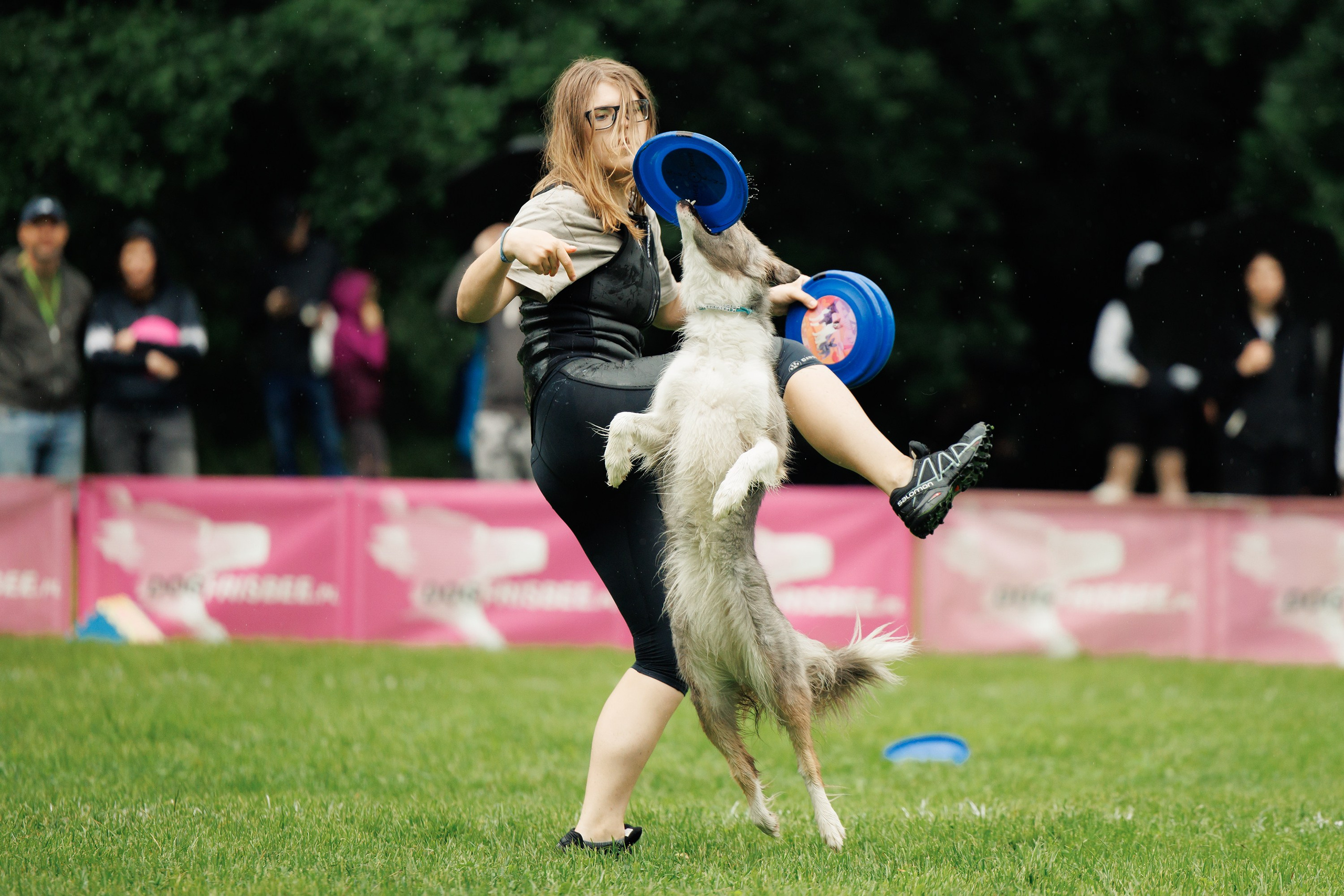 Latające psy, Wrocław'25. Kaja | fotograf psów we Wrocławiu