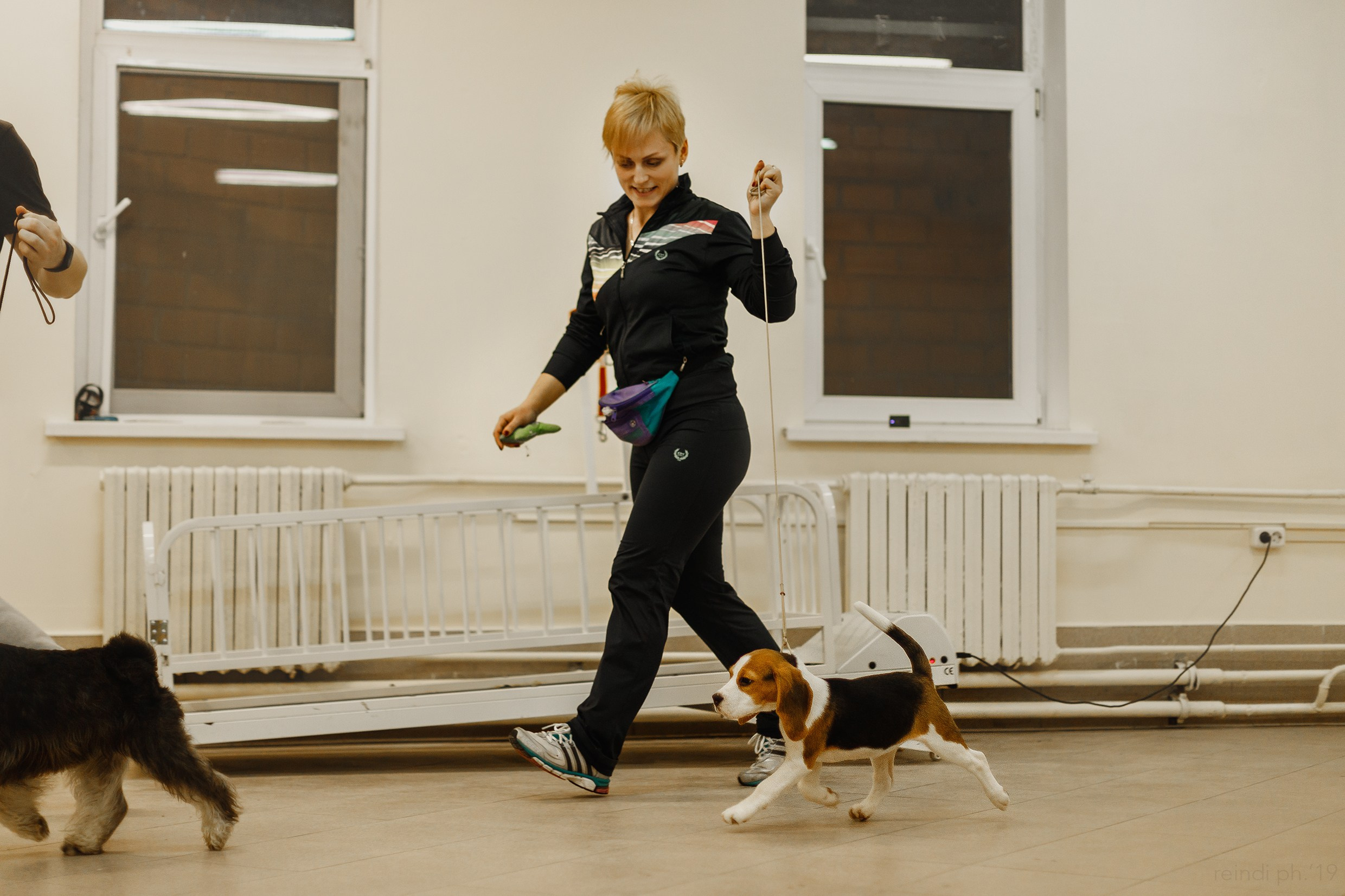 Dog handling hall. Kaja | fotograf we Wrocławiu | ludzie i psy