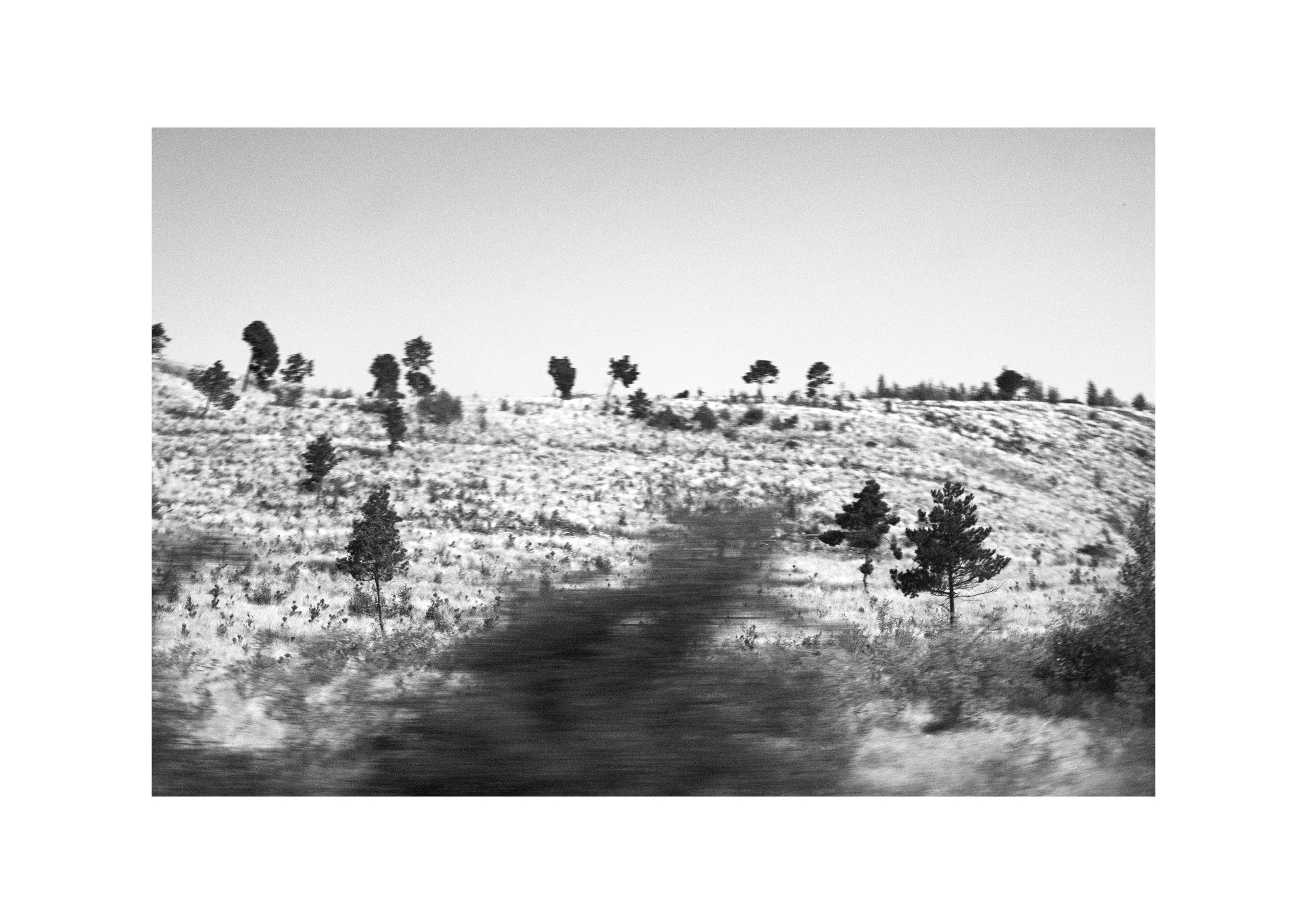 B&W. Cinema that you’ll never see