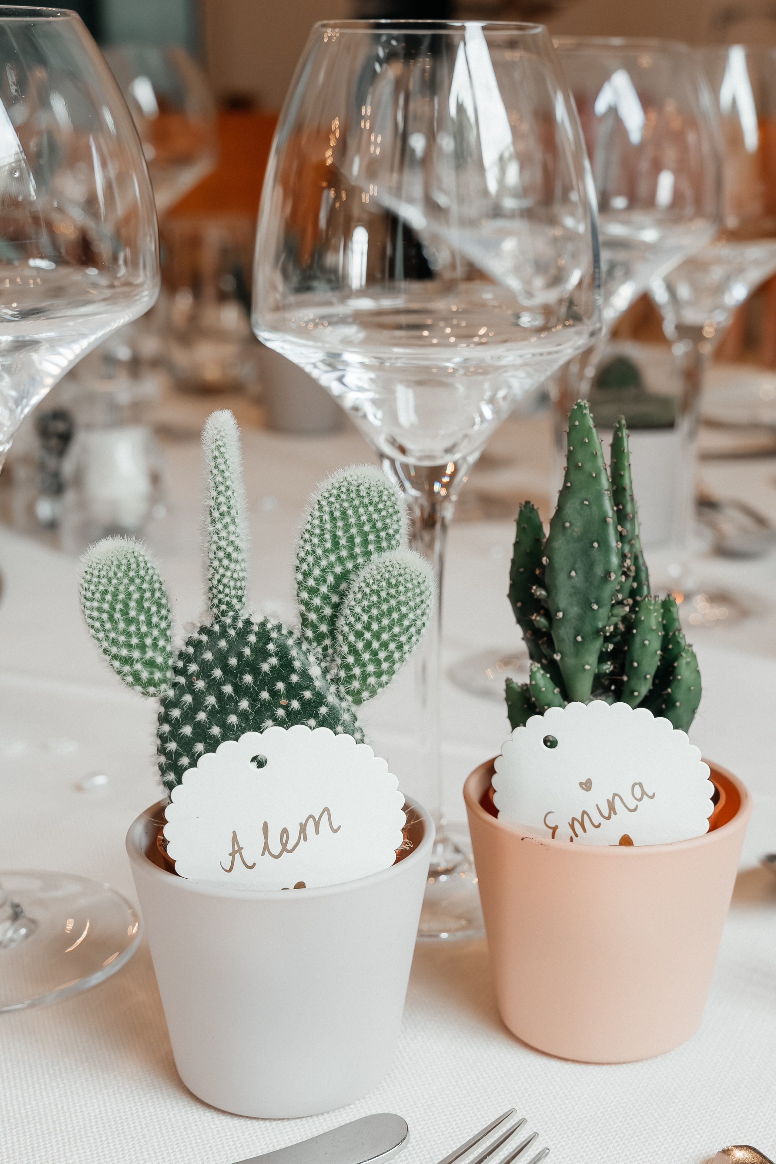 Emina & Alem. Photographe Suisse Tatiana Lyzhina