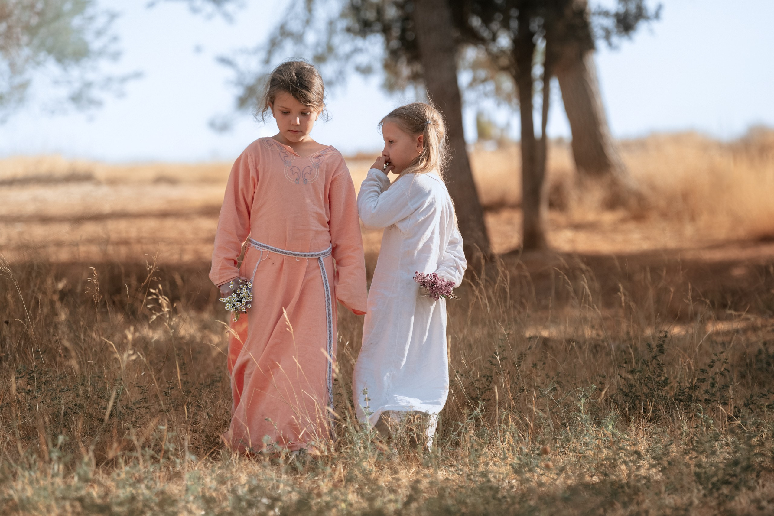 Кланы Скандинавии — клуб реконструкции «Нортман». КРиС «Нортман»