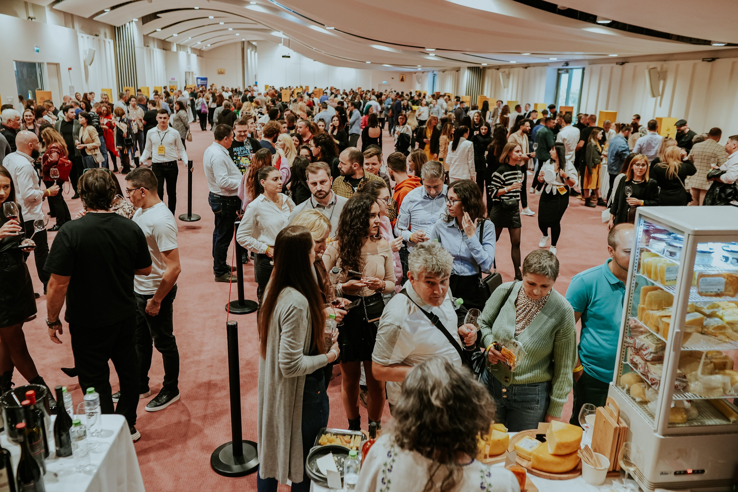 Hai cu Pluta — Wine Event. MARINABUGS