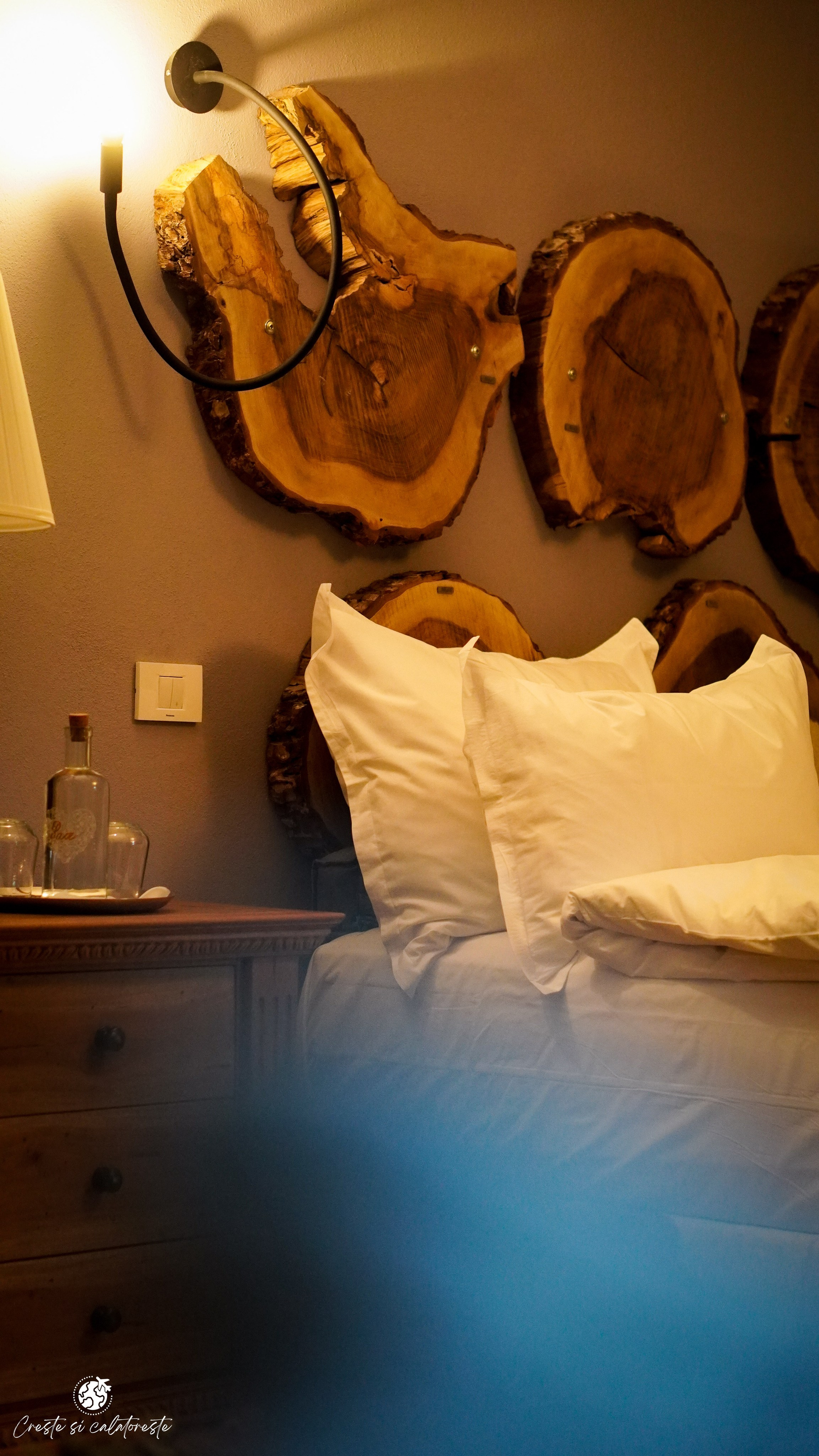 Bransilvania. Creste si calatoreste