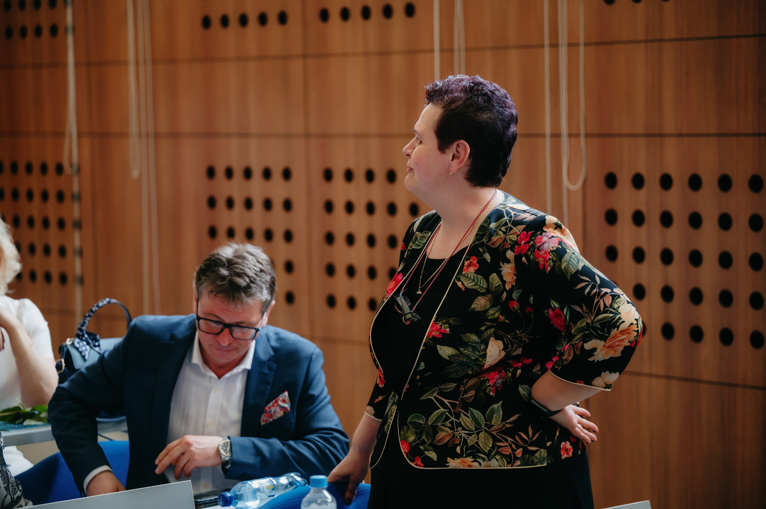 Medicina Veterinara — dupa 30 de ani…. Laurentiu Stefan StoryTeller