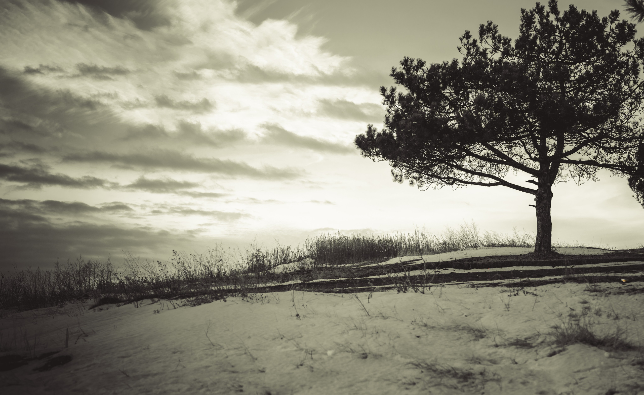 Chisinau. Fotograf de familie Vitalie Budoianu