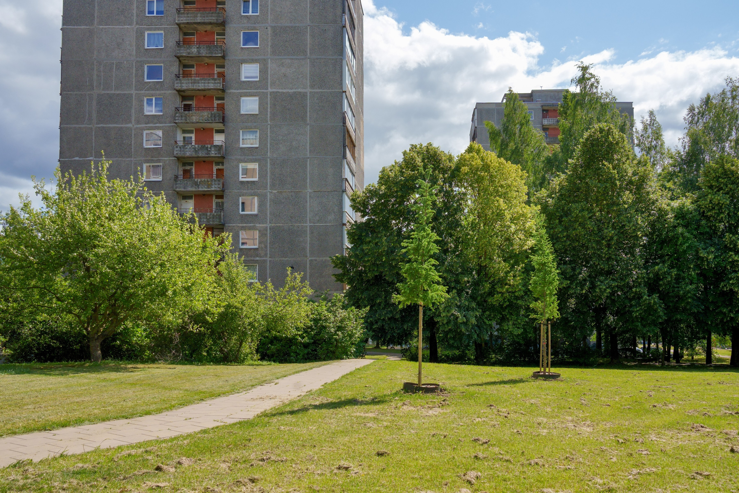 Viršuliškių g. 29. Elina Sapiega fotografė Vilniuje