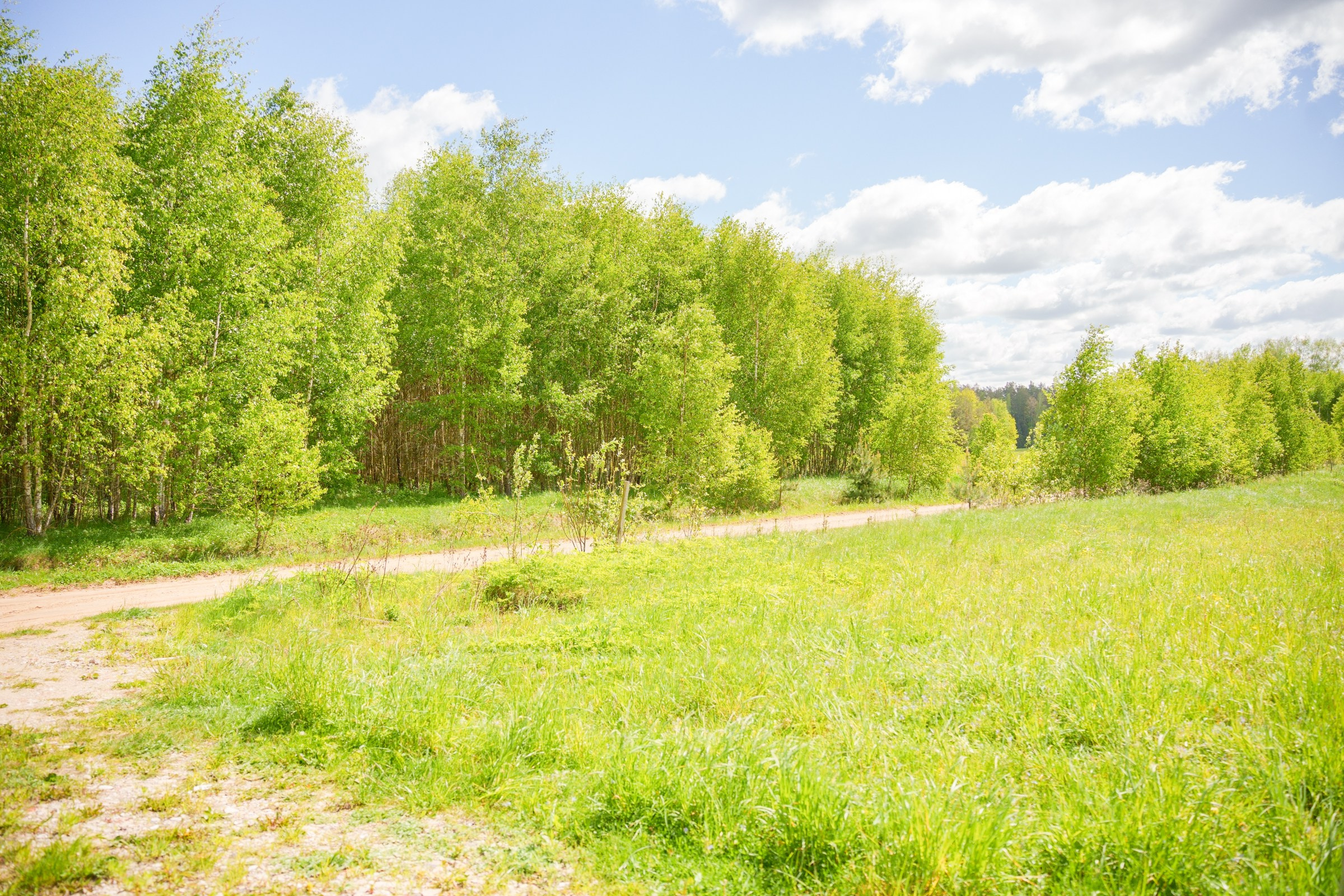 Kernavė. Elina Sapiega fotografė Vilniuje