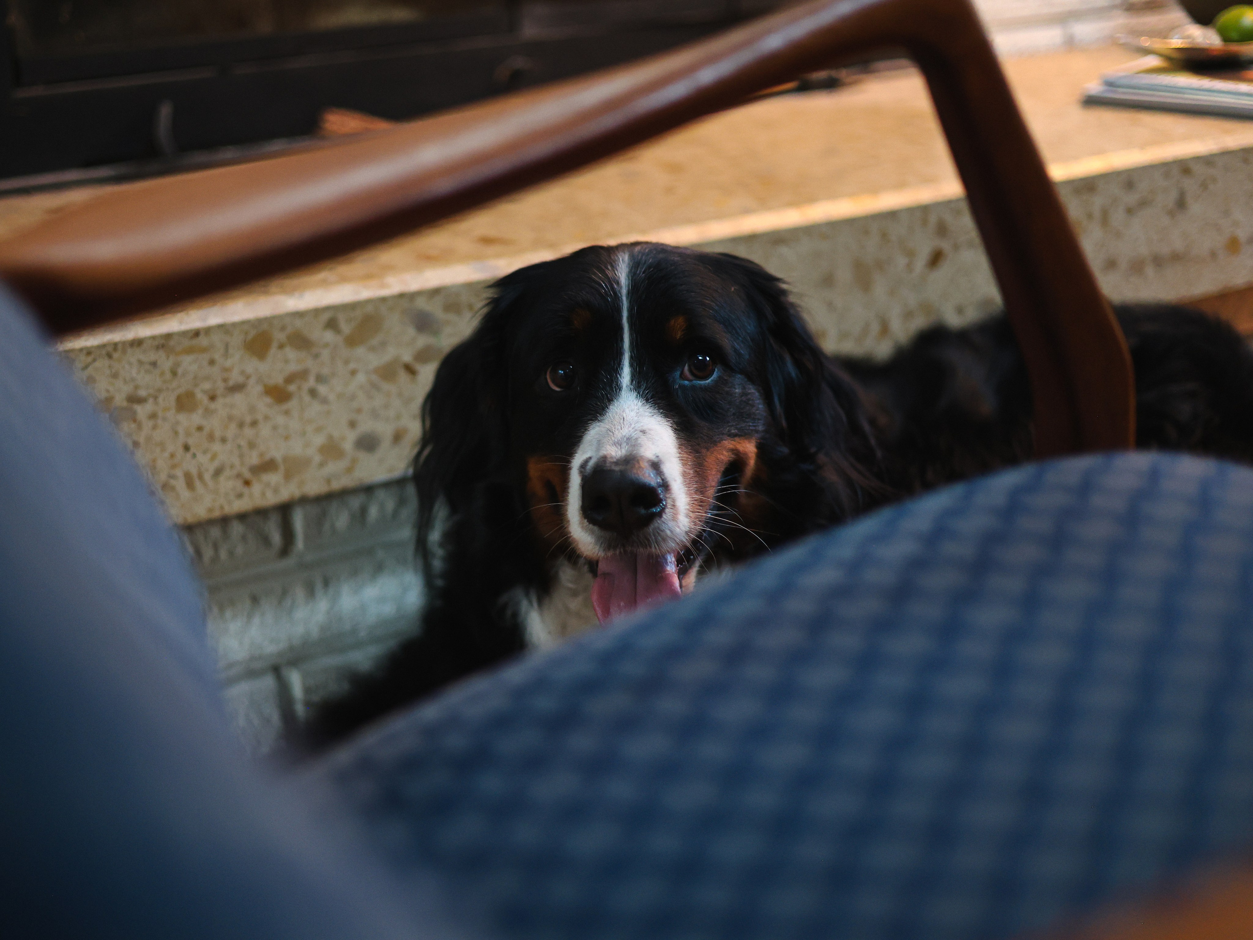 Family time. Yana Bobrova | Artistic Photography