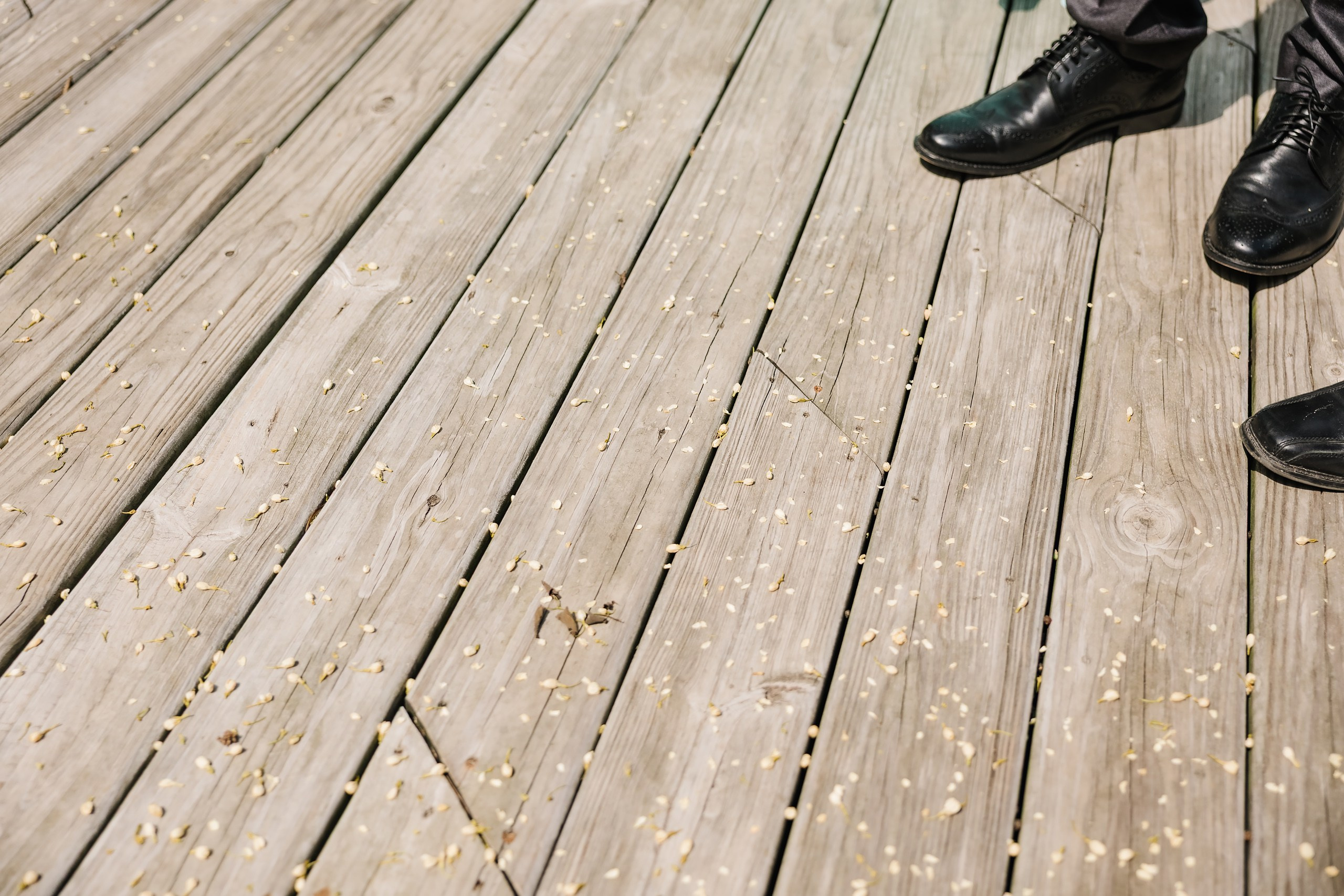 07.12.2025 Wedding. Wedding family event photographer in Chicago Nick Yushevich