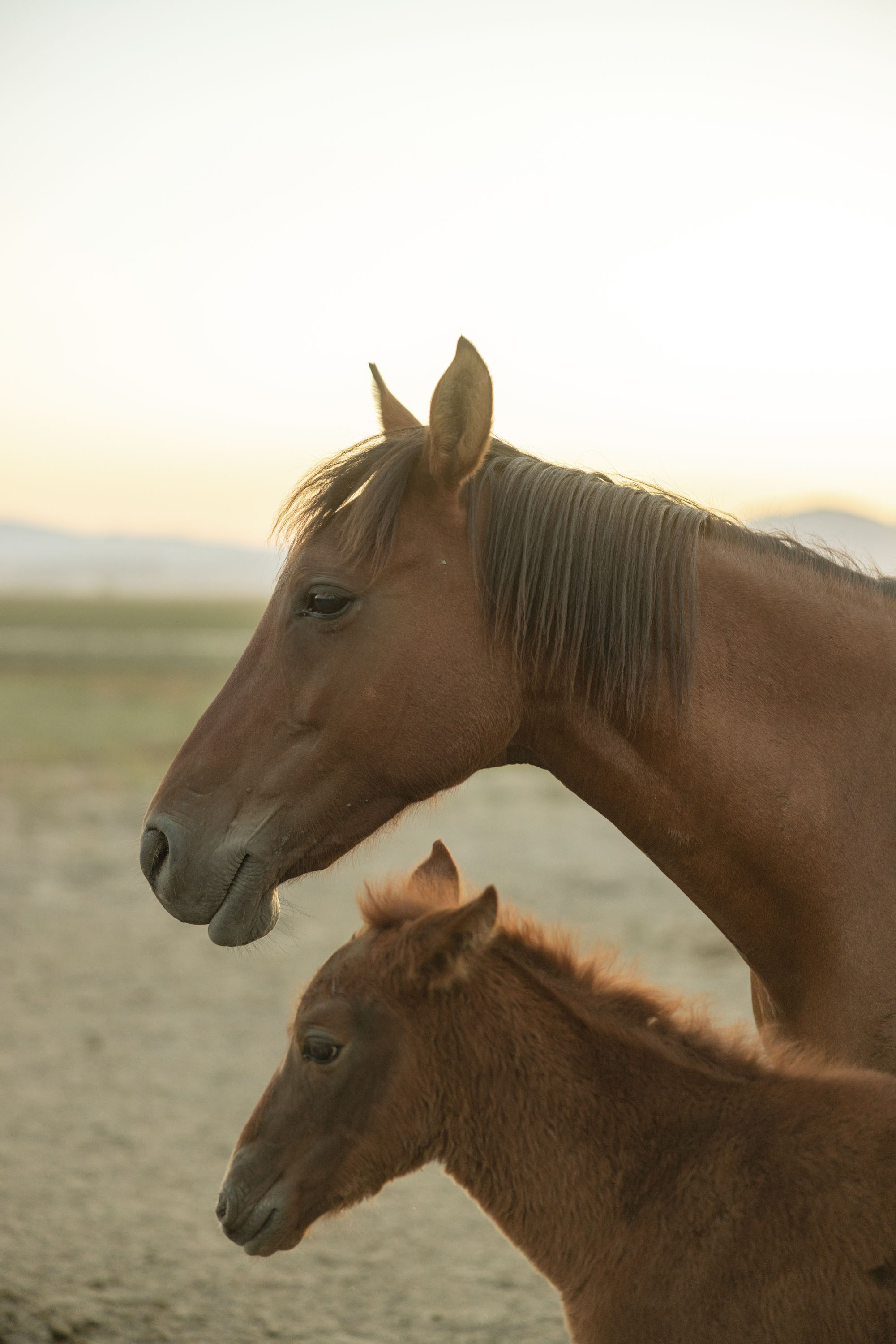 Misha & Kristina. Фотограф в Каппадокии / Julia Ganch
