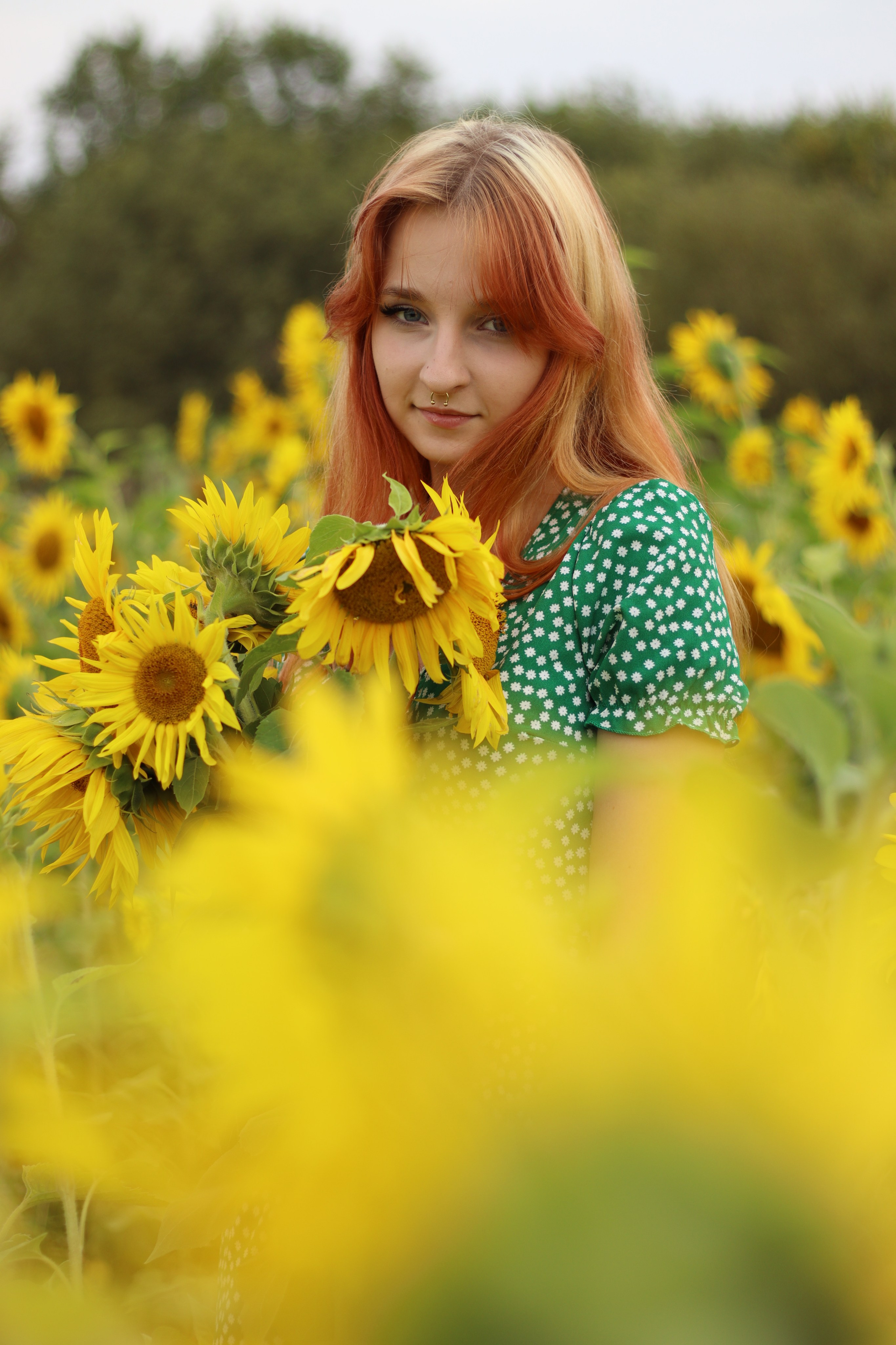 Фотосессия в подсолнухах. Фотограф / Даугавпилс / Ольга Антонова
