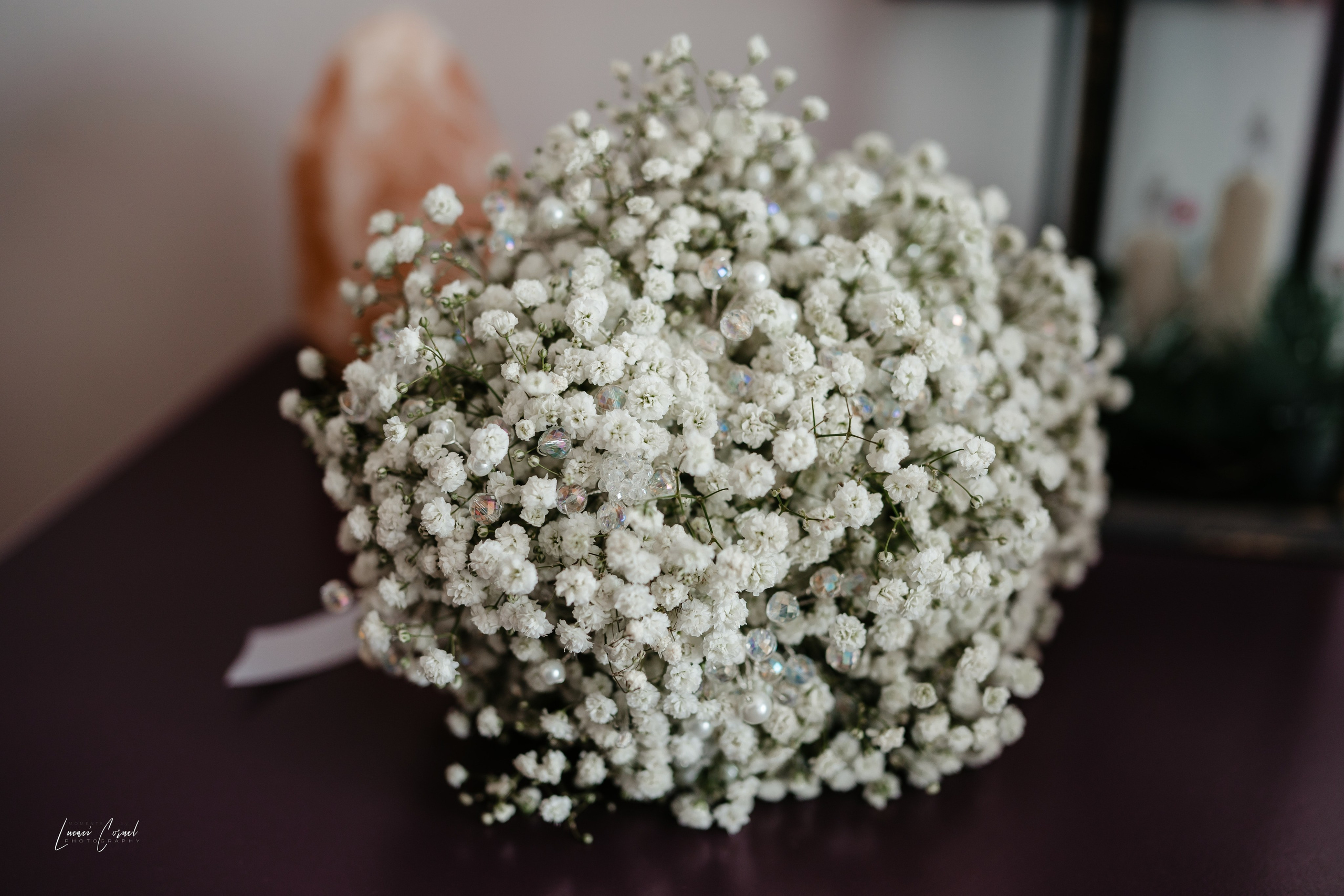 Roxana & Andrei – Nuntă de vis. Fotograf de nuntă, corporate, botezuri, majorate și aniversări Roman, Lucaci Cornel