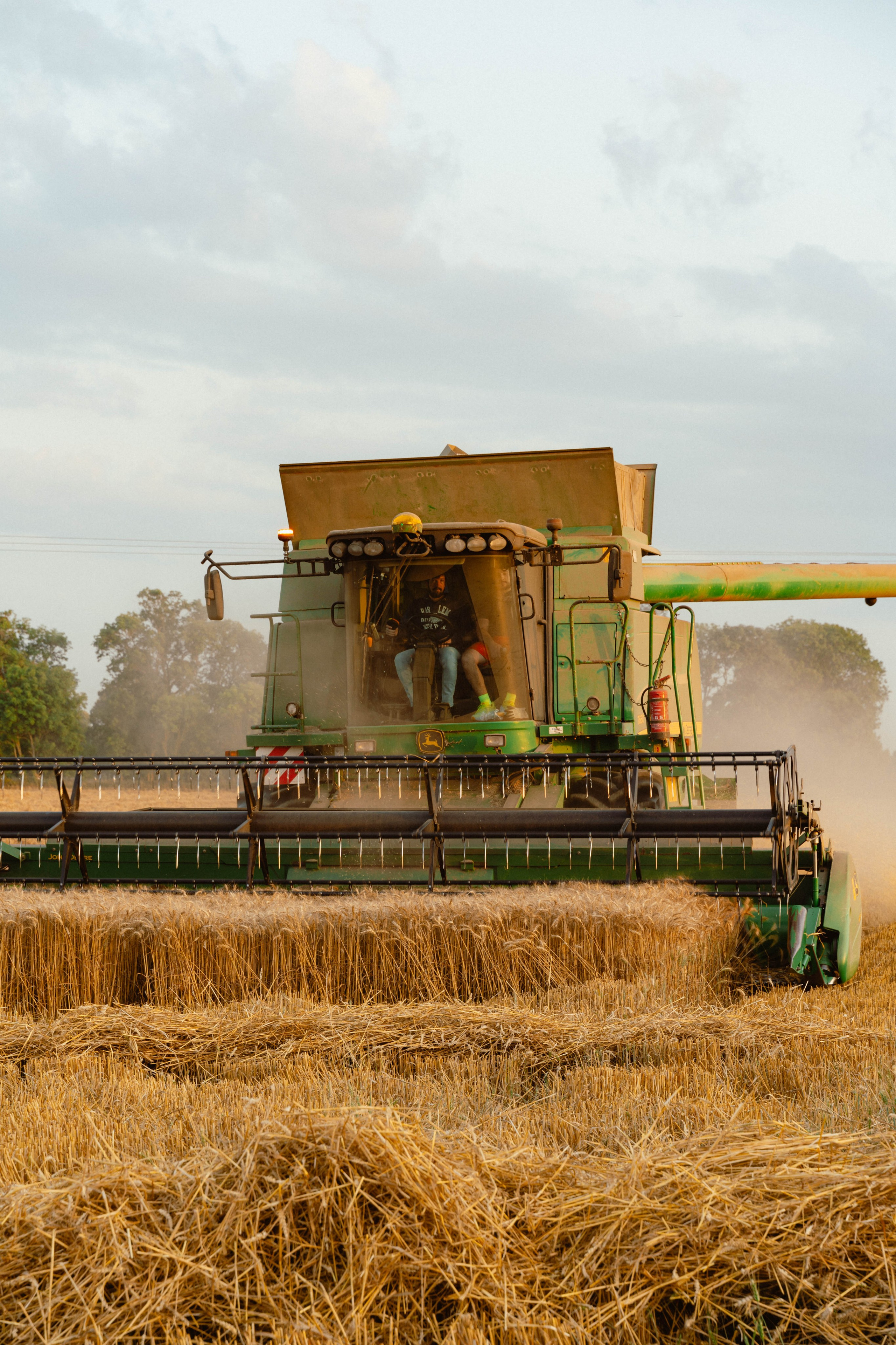 Entreprise agricole. Weeding photographer / event / portrait