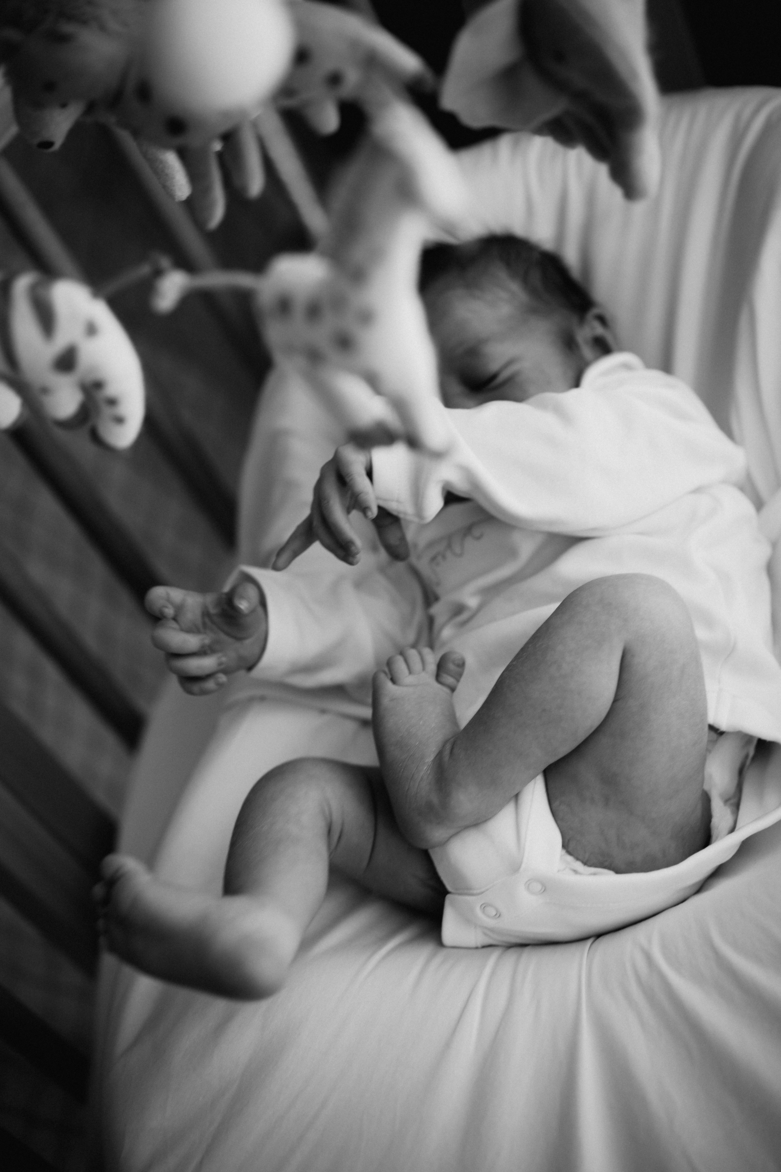 New Life. Elena Pretzner Photography