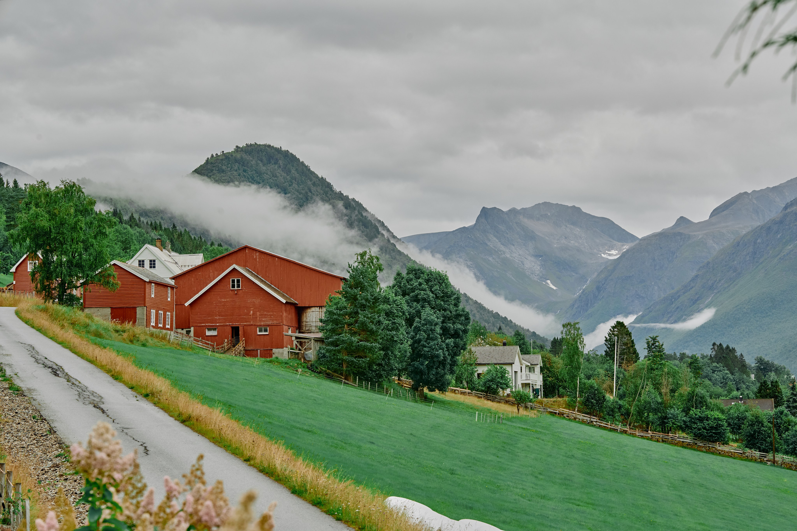 Mountain Fairytale. Bryllupsfotograf i Oslo. André Korsak – candid og dokumentarisk fotograf