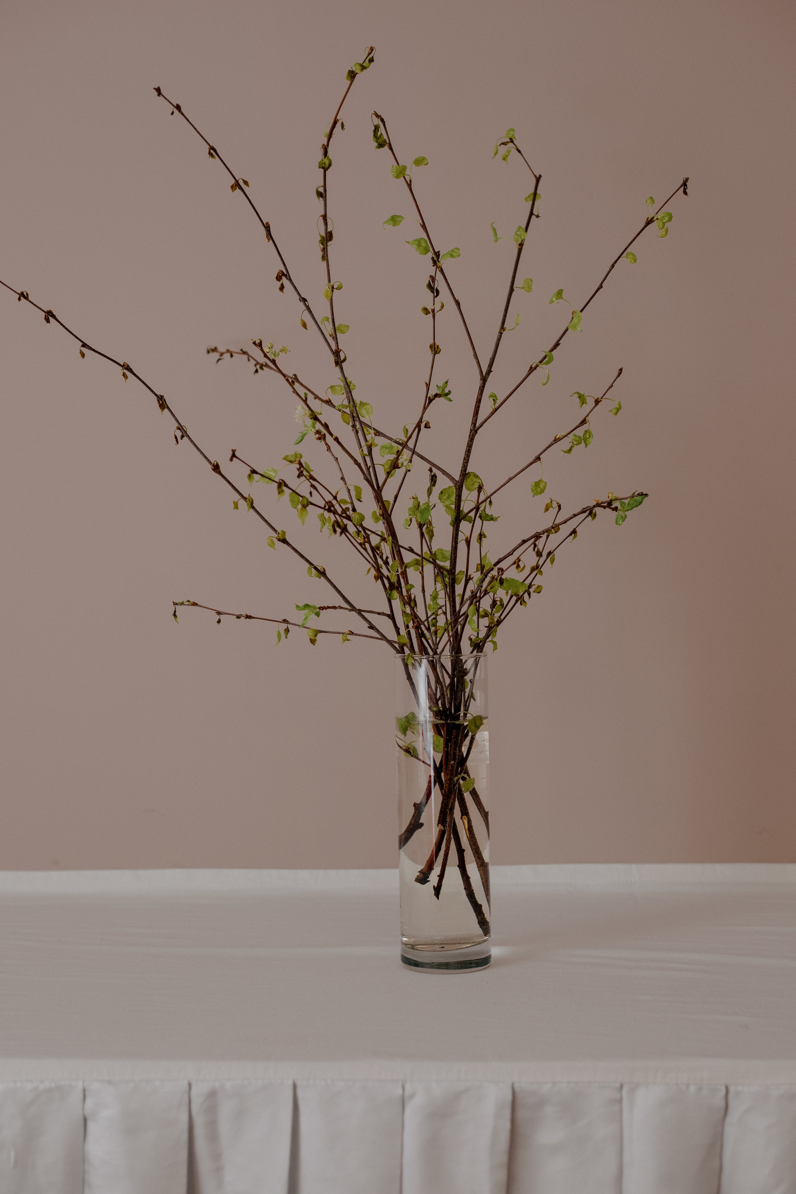 Created for hapiness. Photographer Inna Kalmykova