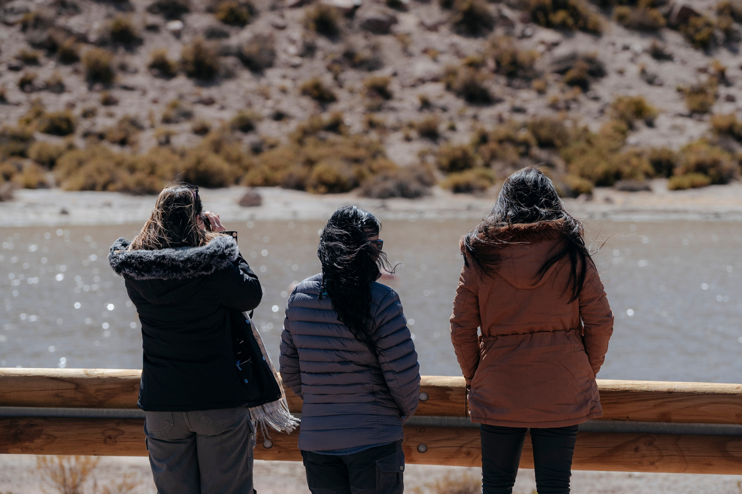 Geyser El Tatio (cobertura en tour privado). Principal