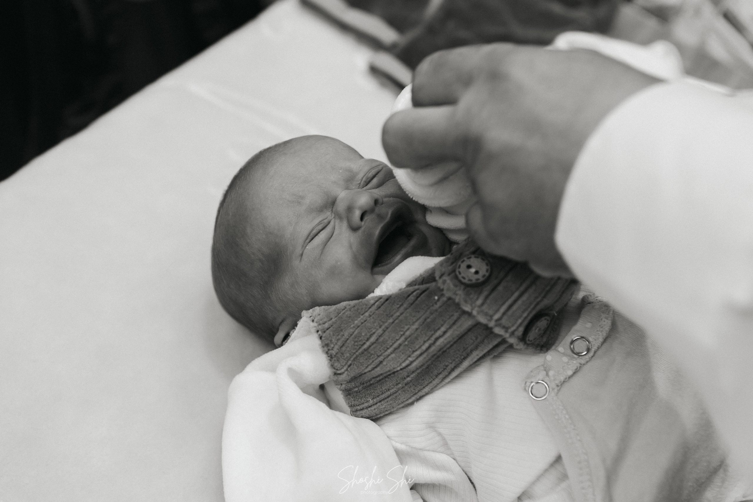 BRIT TWINS. Https://shi-photo.com/