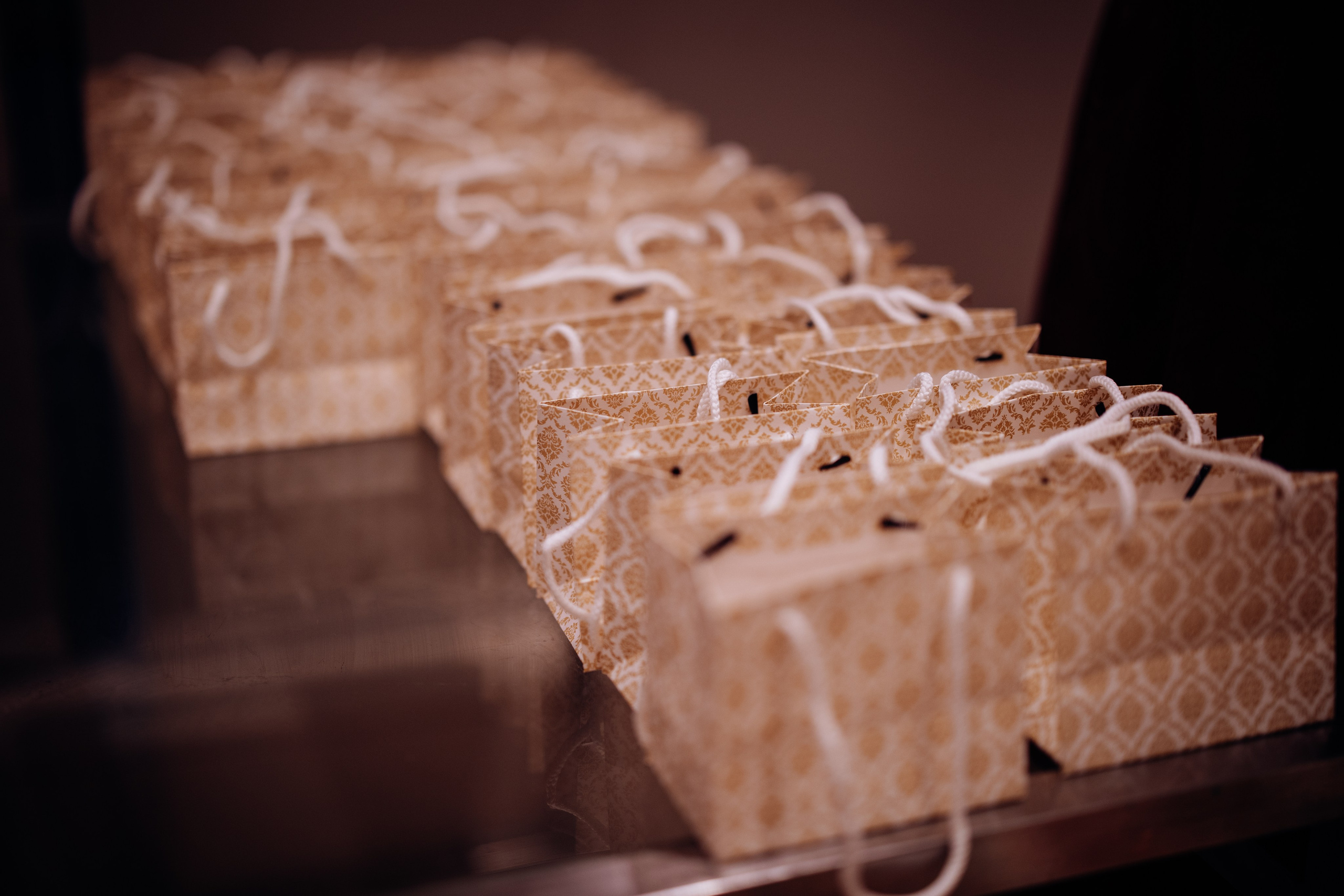 Tanvi & Neil | Engagement