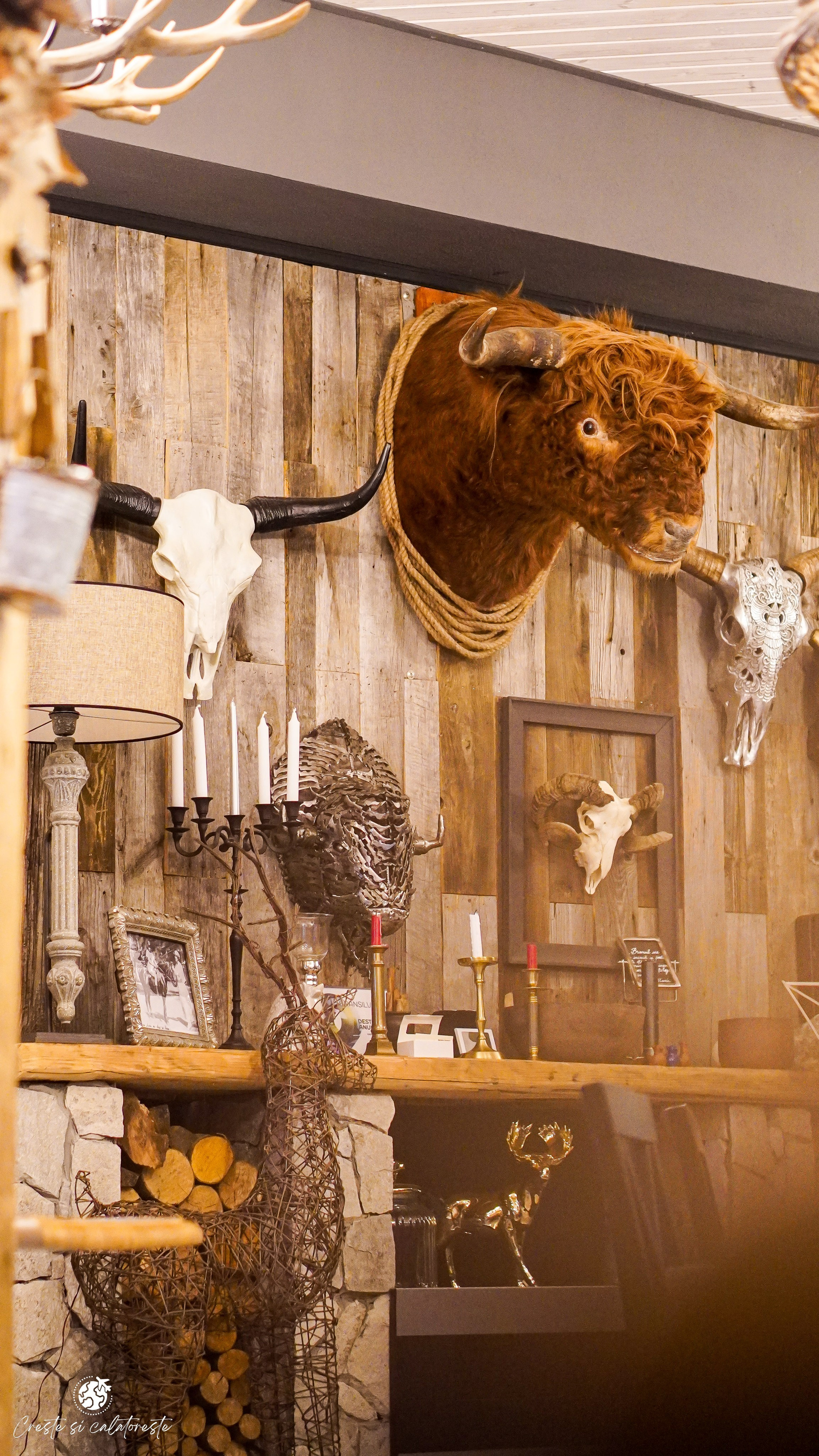 Bransilvania. Creste si calatoreste