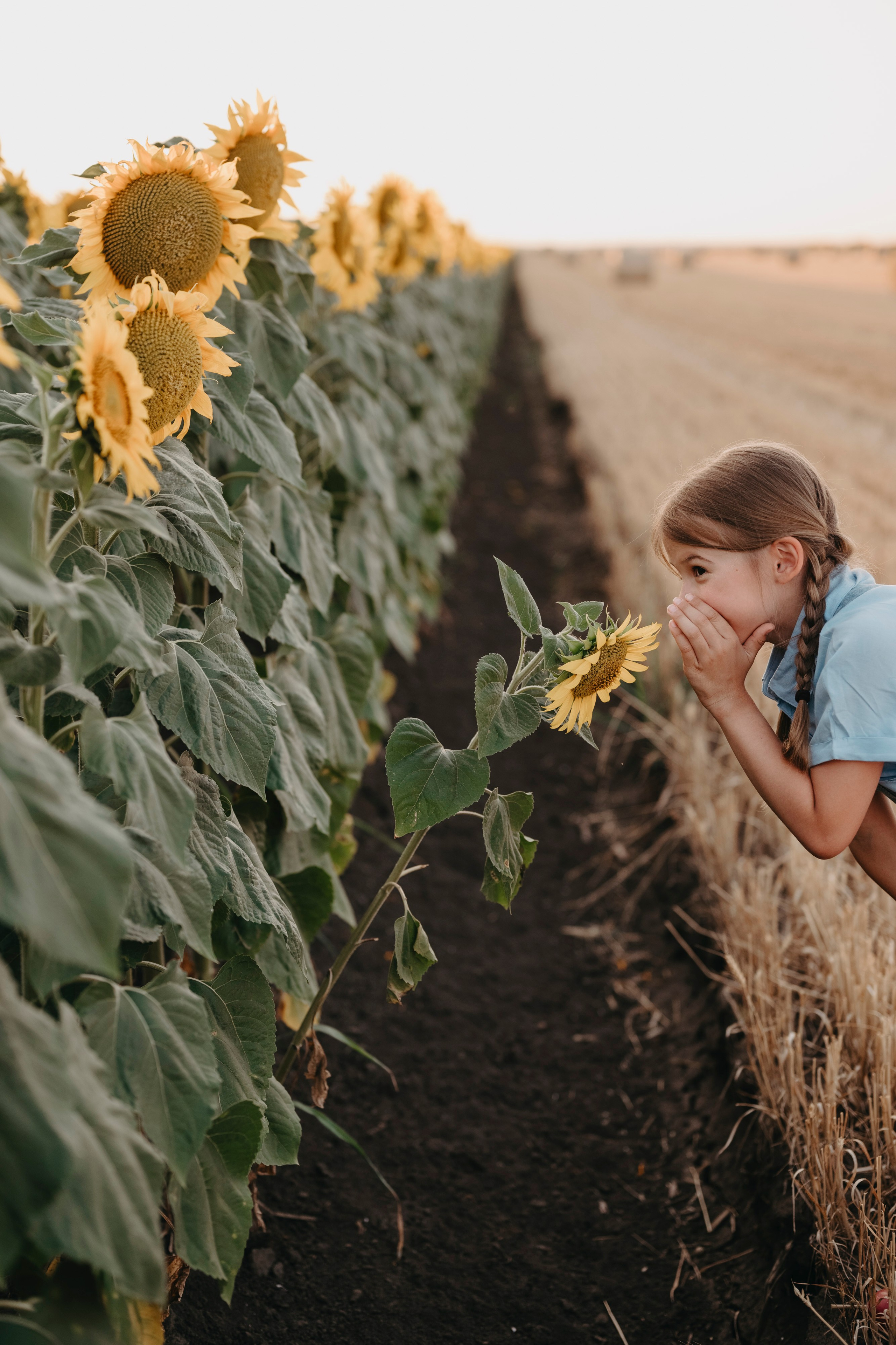 Letnje fotografisanje u polju suncokreta i sena. Deciji i porodicni fotograf u Beogradu Oksana Skendzic