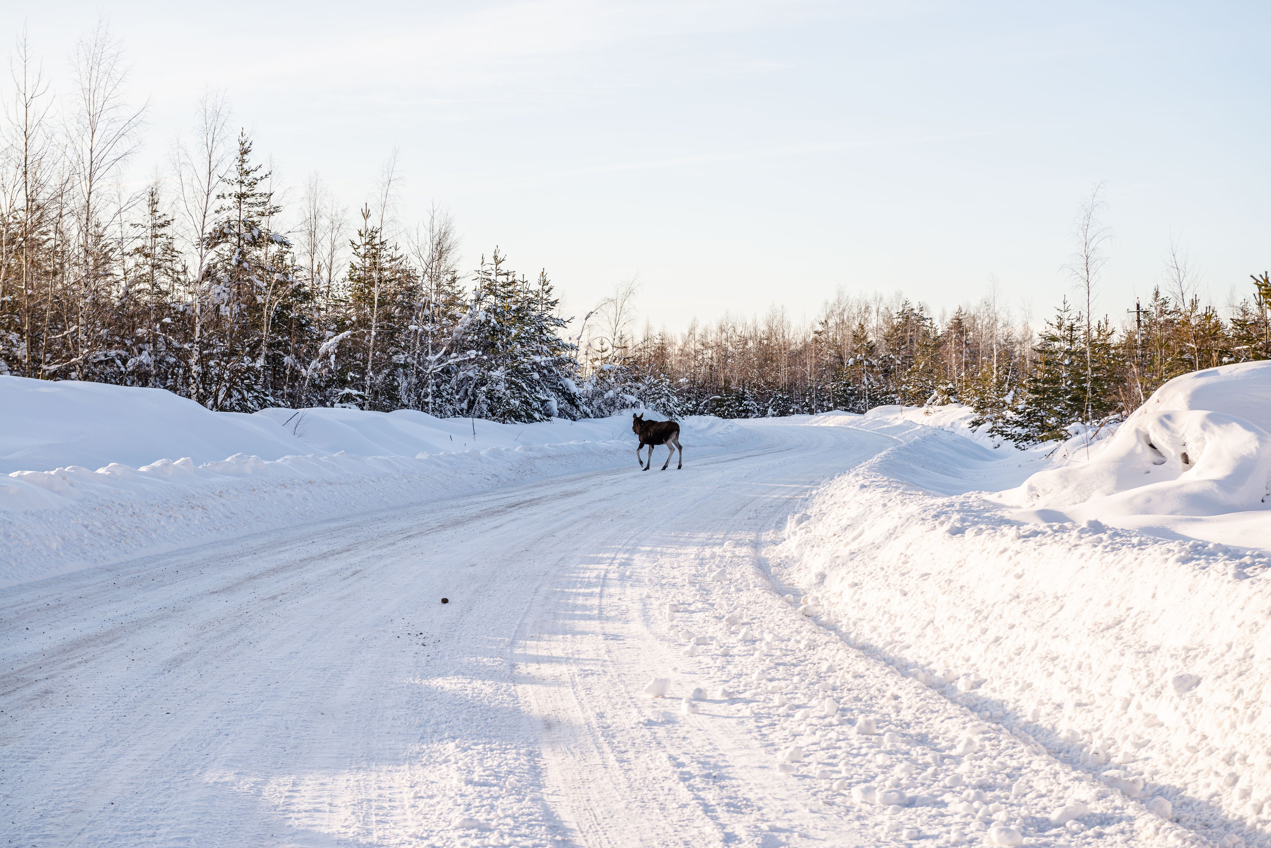Автомобильная фотосъемка Geely Monjaro. FOTÓGRAFO MÉXICO QUINTANA ROO