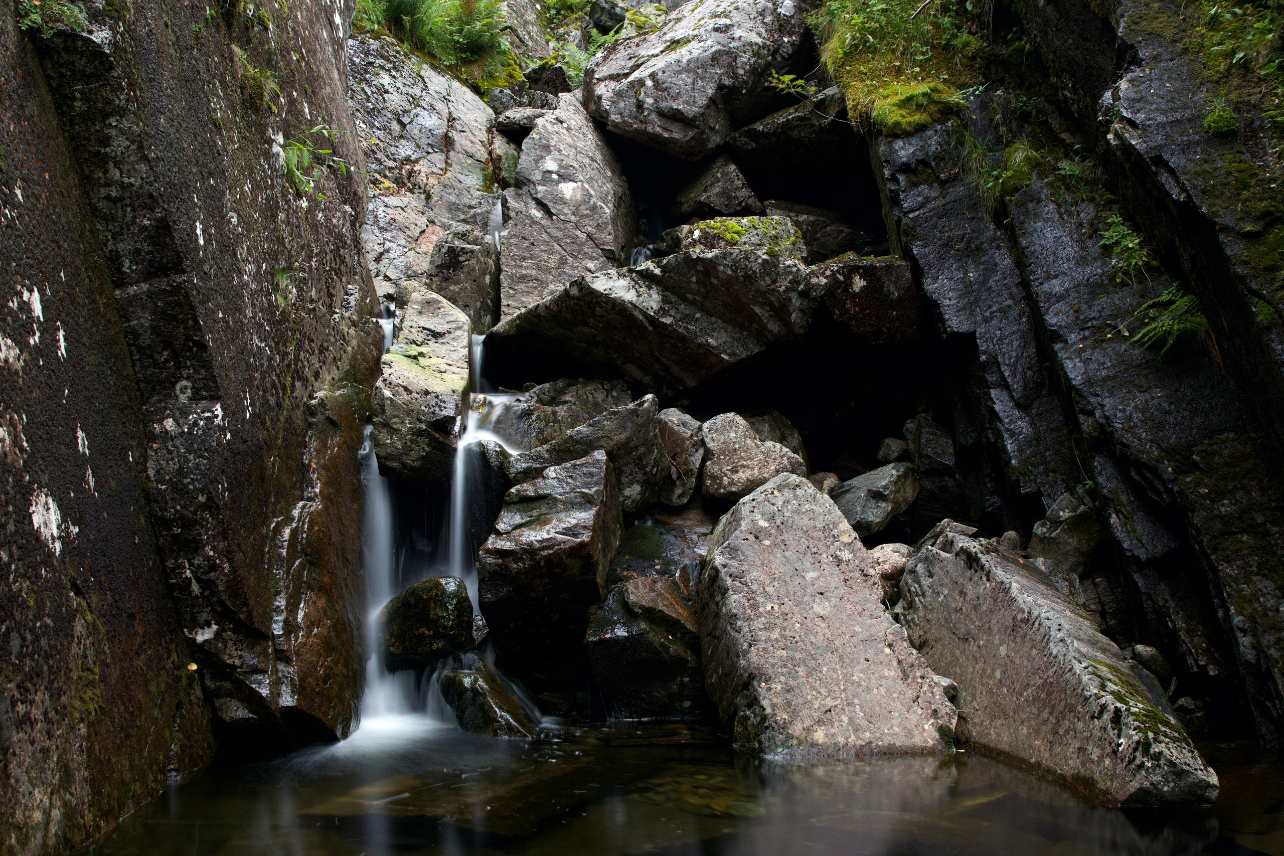 Prints by D.Todosyev