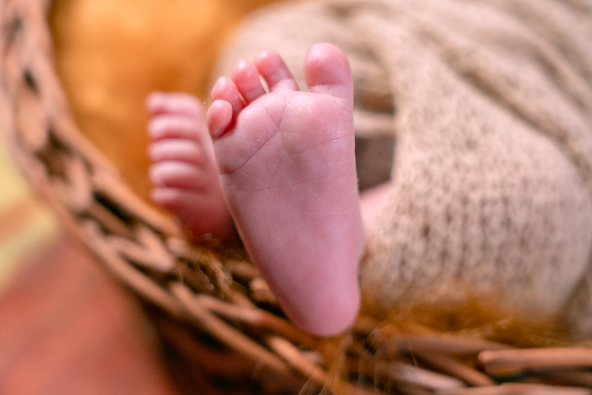 Vicente — 09/04/2024. Luiz Medeiros Produções